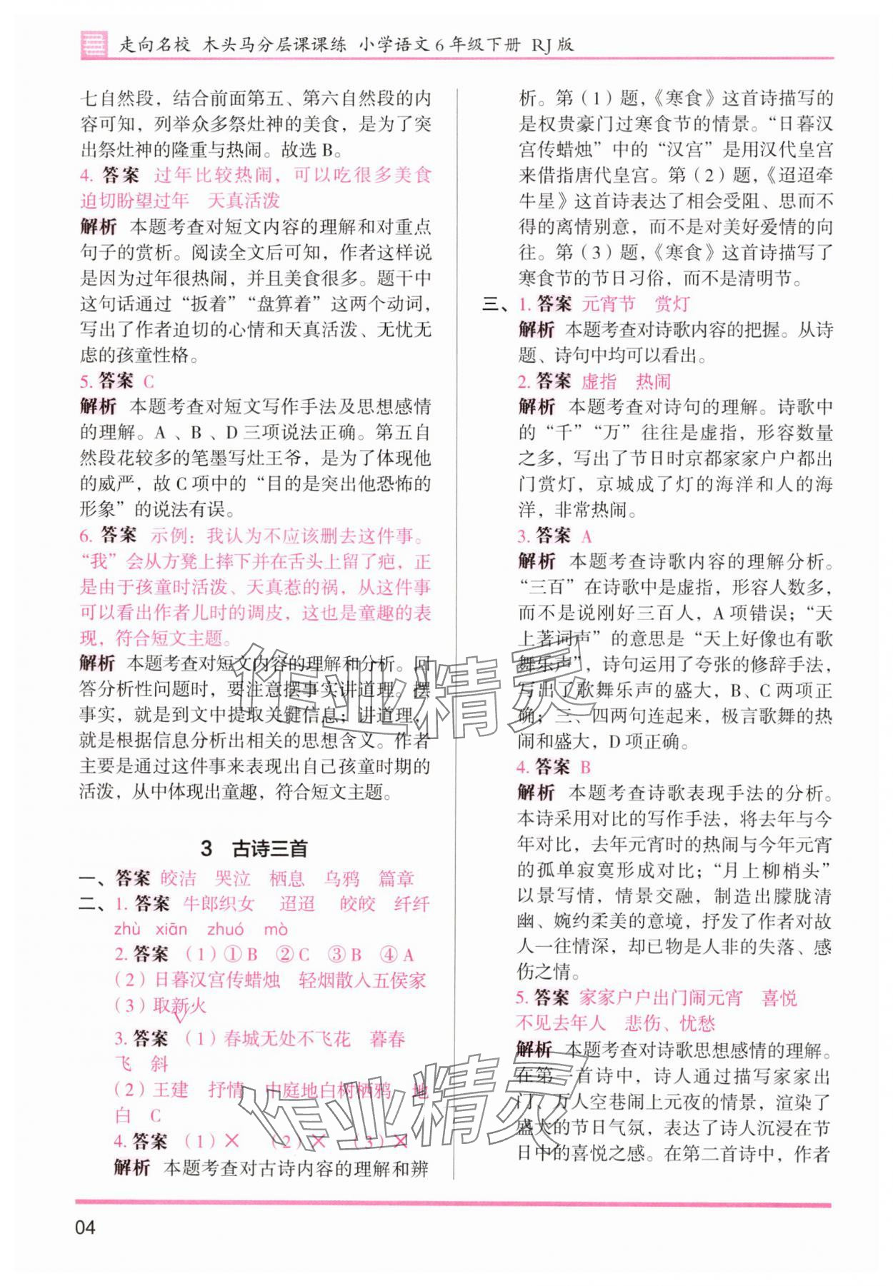 2025年木頭馬分層課課練六年級語文下冊人教版浙江專版 第4頁