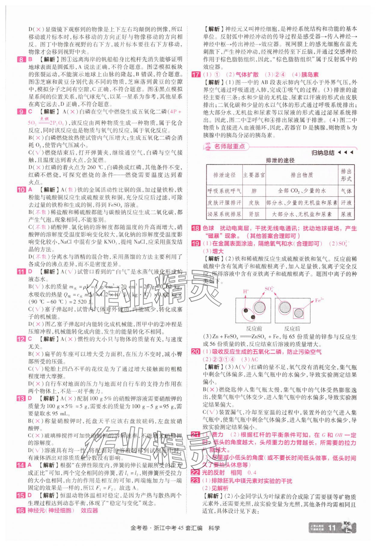 2025年金考卷浙江中考45套匯編科學(xué)浙江專版 參考答案第11頁(yè)