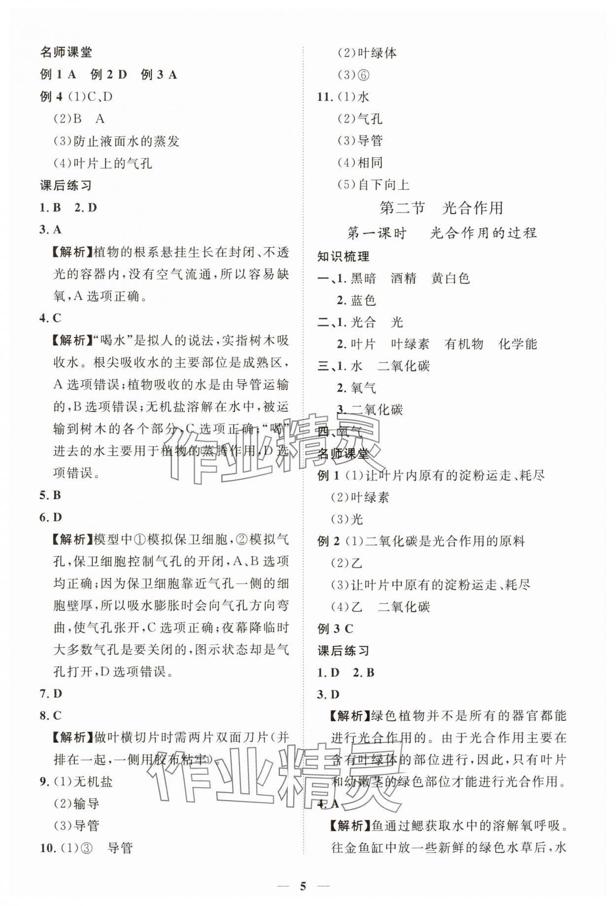 2025年一课一练创新练习七年级生物下册人教版 第5页