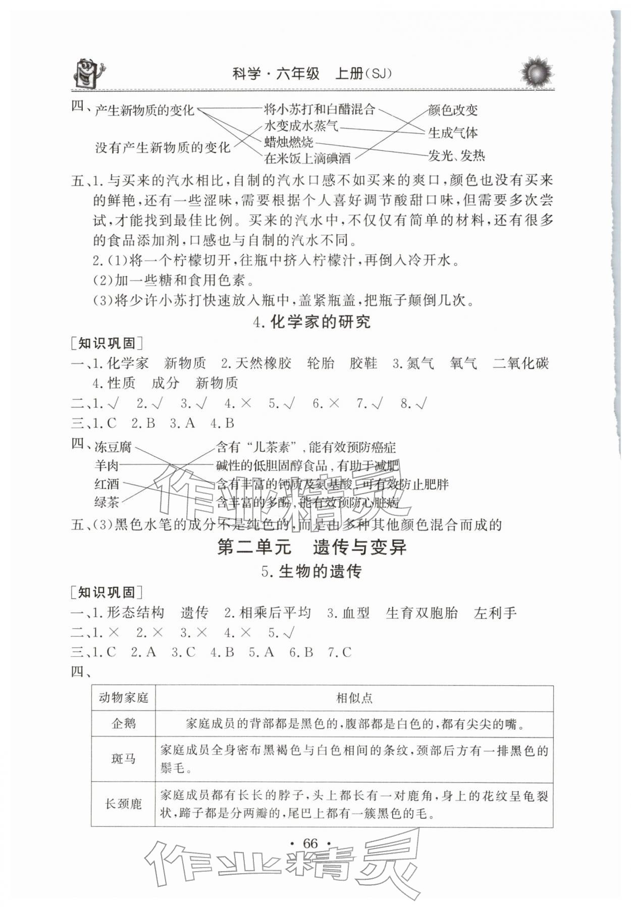 2025年名师导学伴你行同步练习六年级科学上册苏教版 第2页