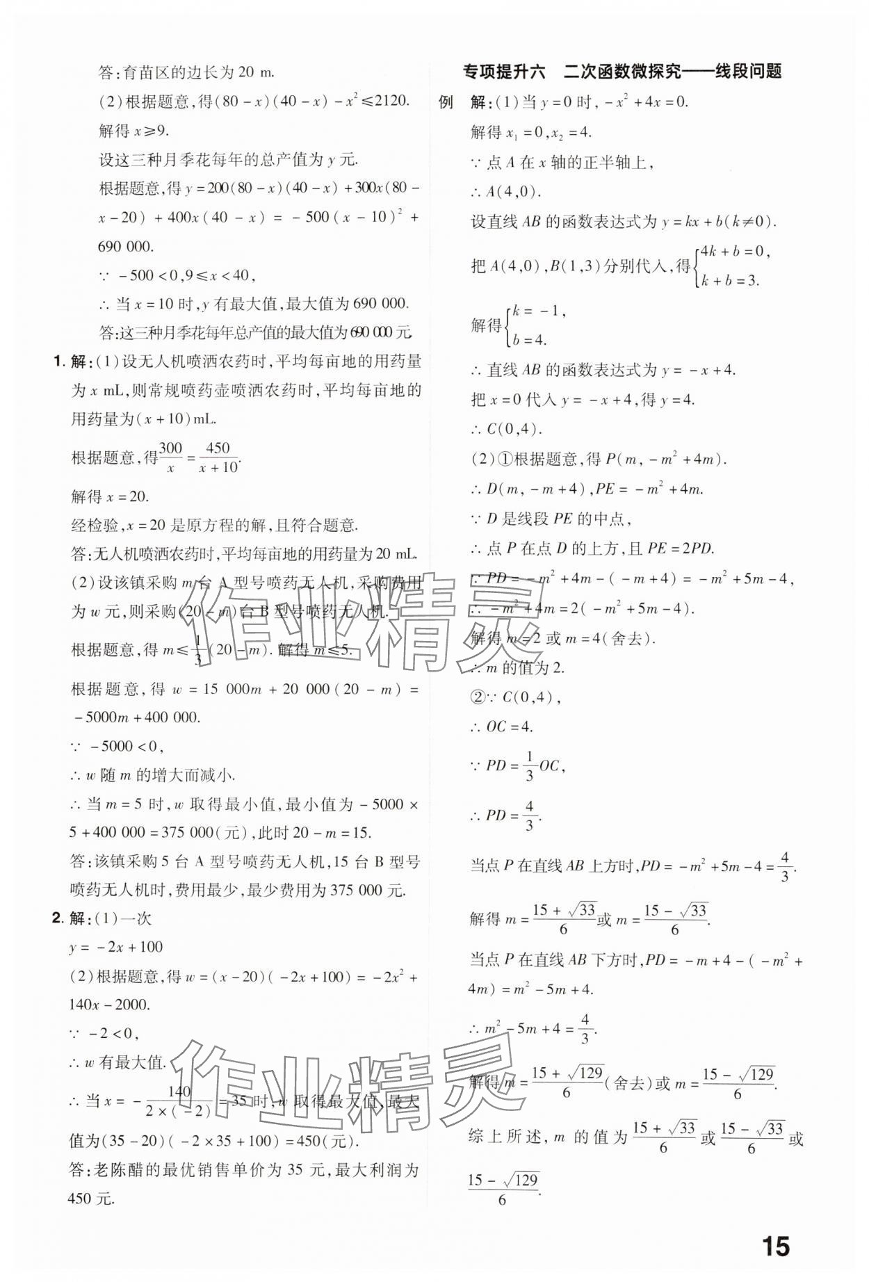 2025年晉一中考精準(zhǔn)提分?jǐn)?shù)學(xué)山西專版 參考答案第15頁