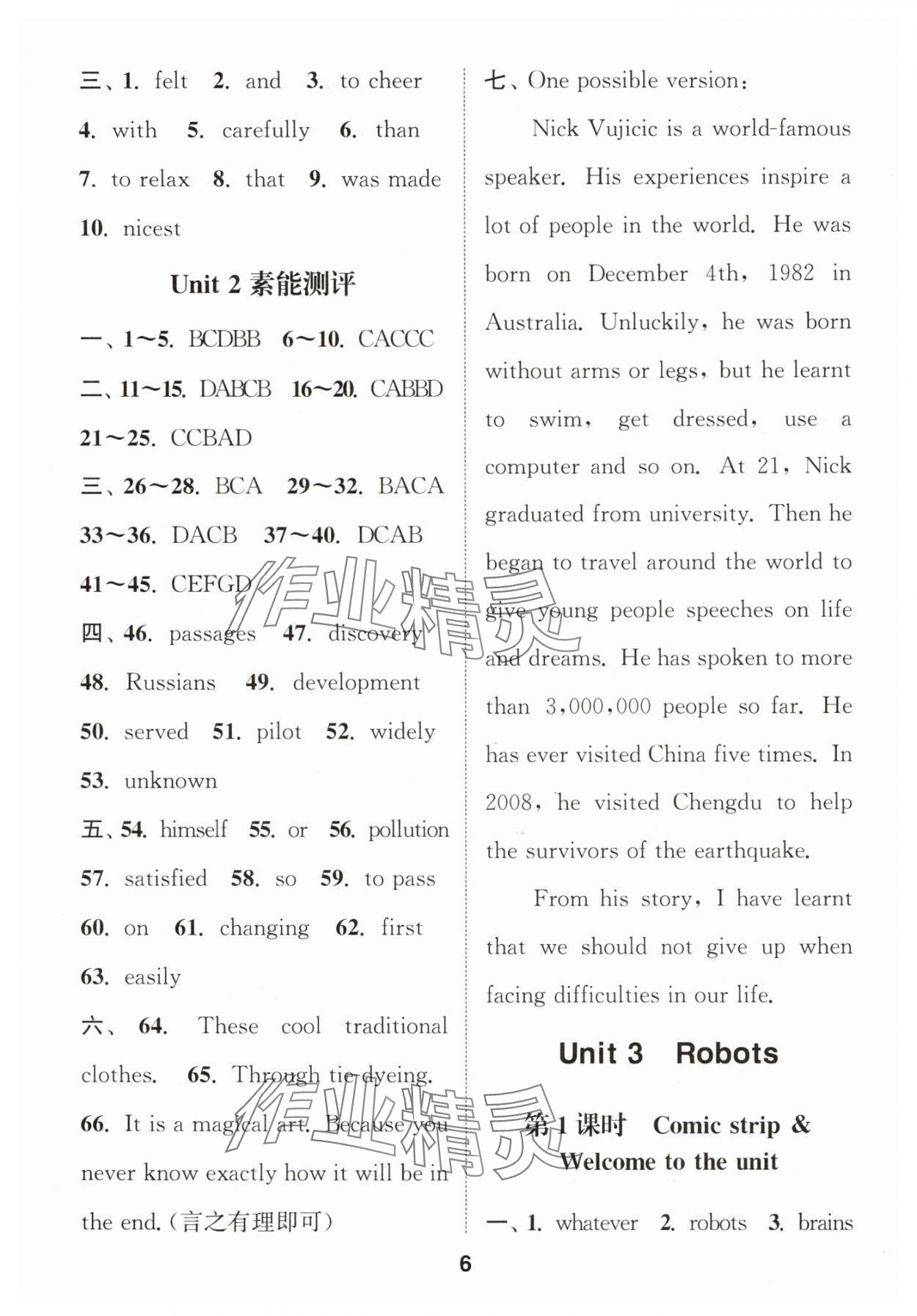 2025年通城学典课时作业本九年级英语下册译林版宿迁专版 第6页