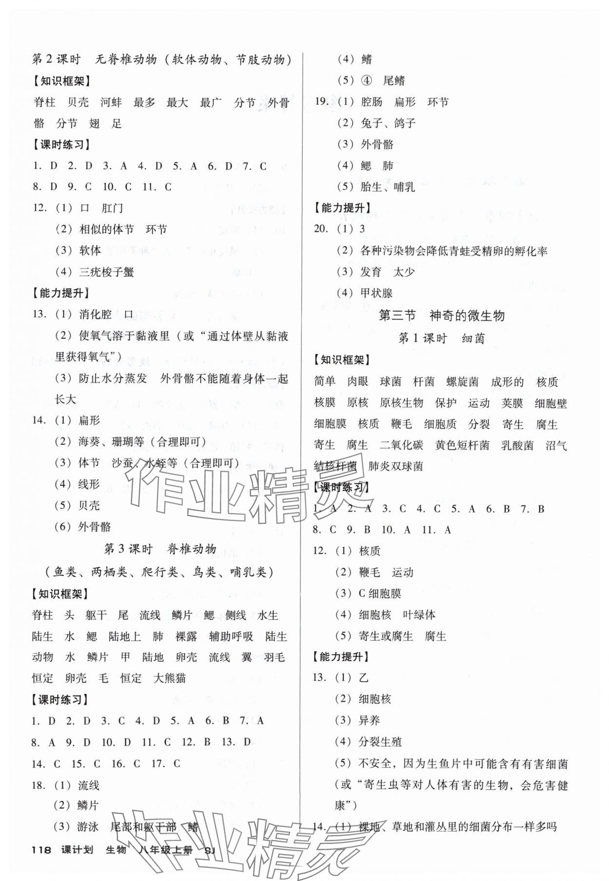 2024年全优点练课计划八年级生物上册苏教版 参考答案第2页