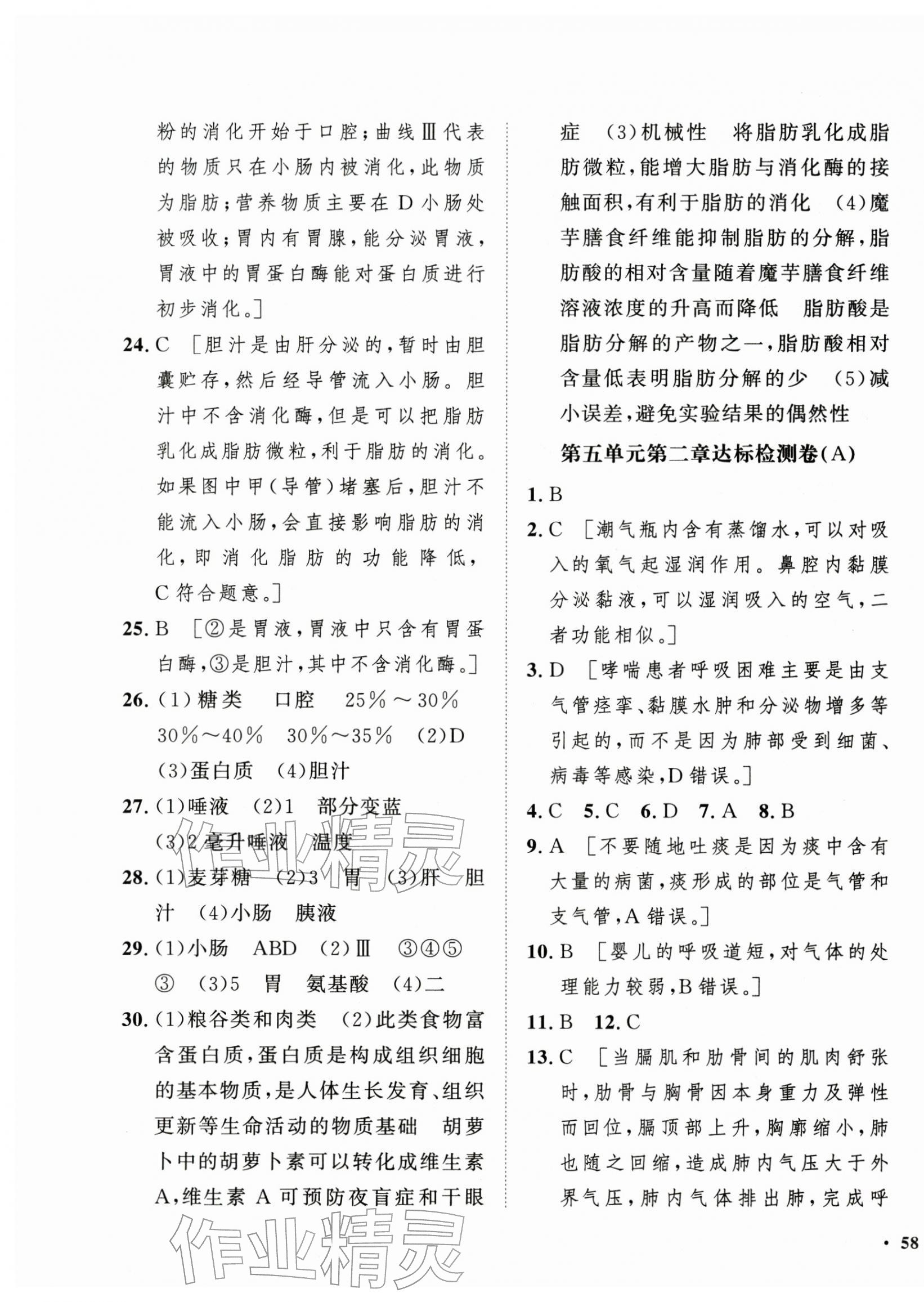 2025年一課三練單元測試八年級生物上冊濟南版 第3頁