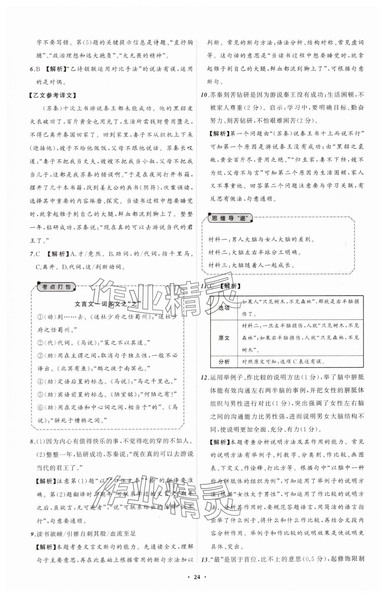 2025年中考必備遼寧師范大學(xué)出版社語文遼寧專版 參考答案第24頁(yè)