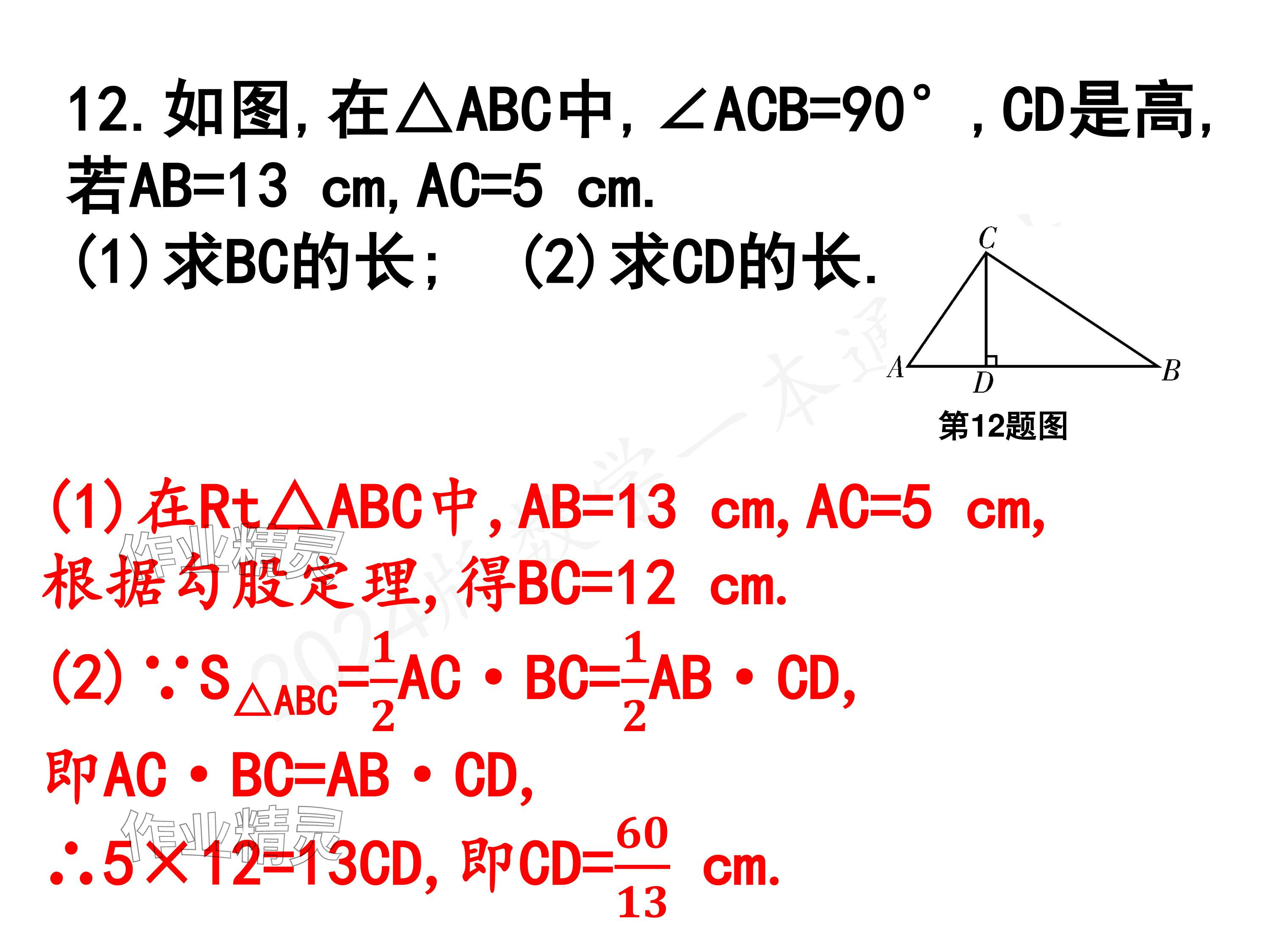 2024年一本通武漢出版社八年級數(shù)學(xué)上冊北師大版核心板 參考答案第10頁