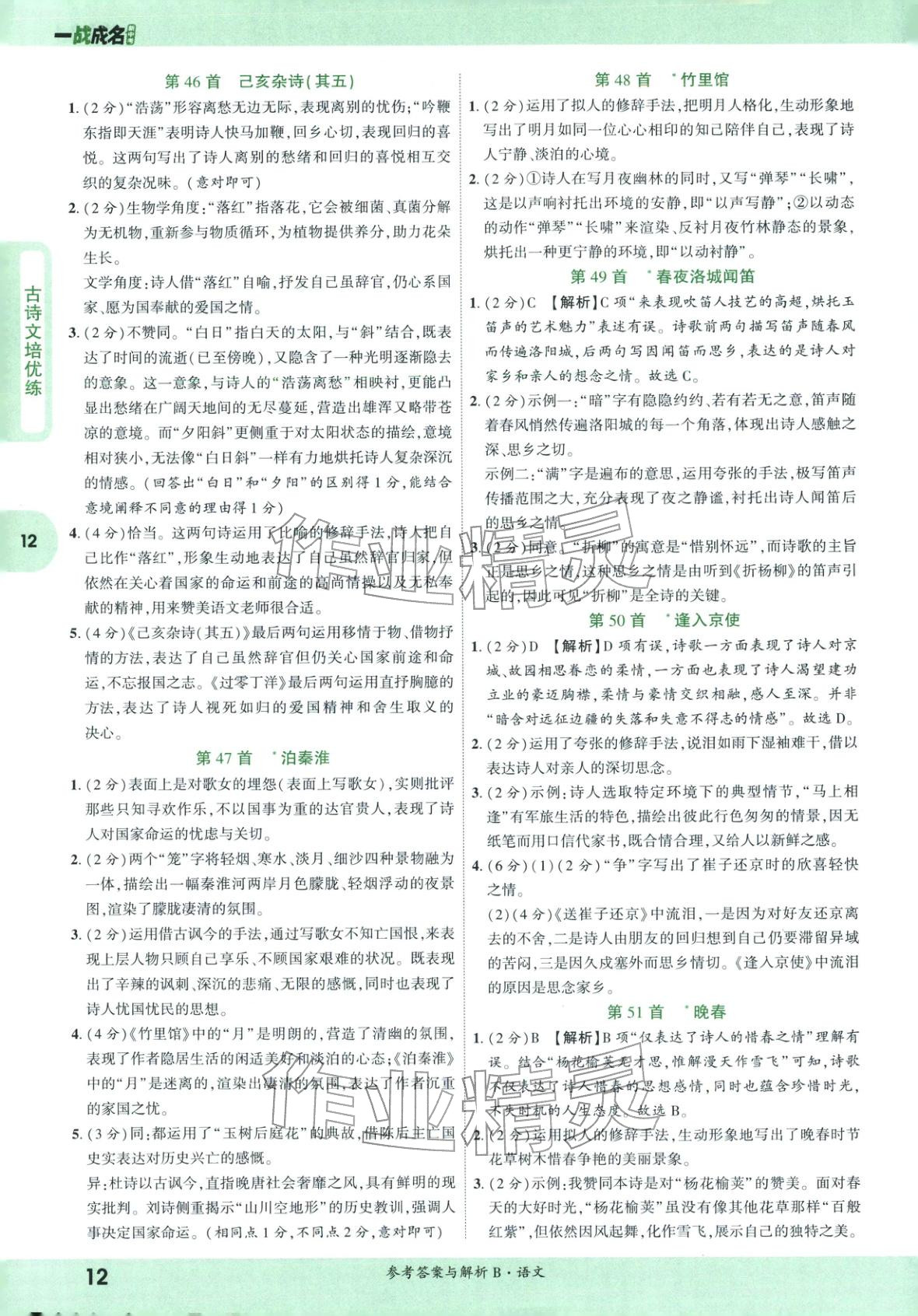 2026年纯练版总复习九年级语文全一册人教版&nbsp;第12页
