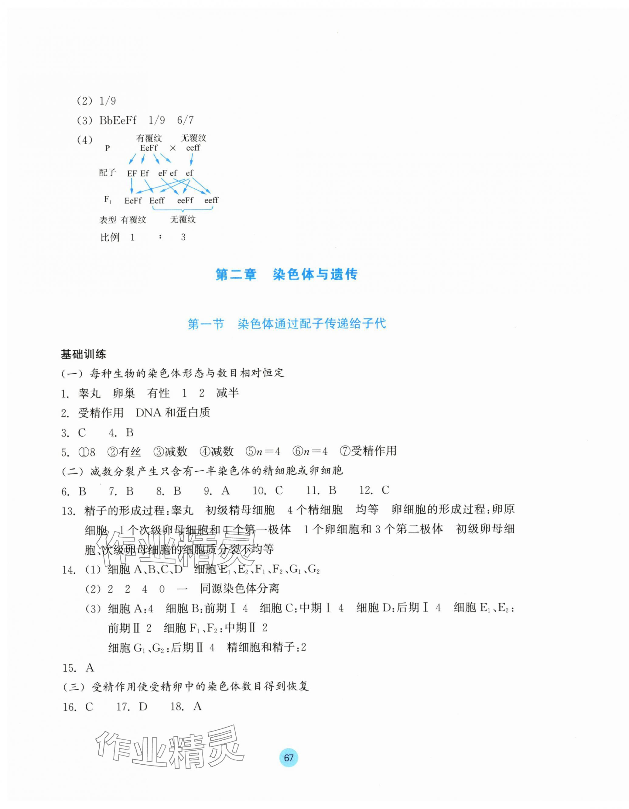 2025年作業(yè)本浙江教育出版社高中生物必修2雙色版浙科版 第3頁