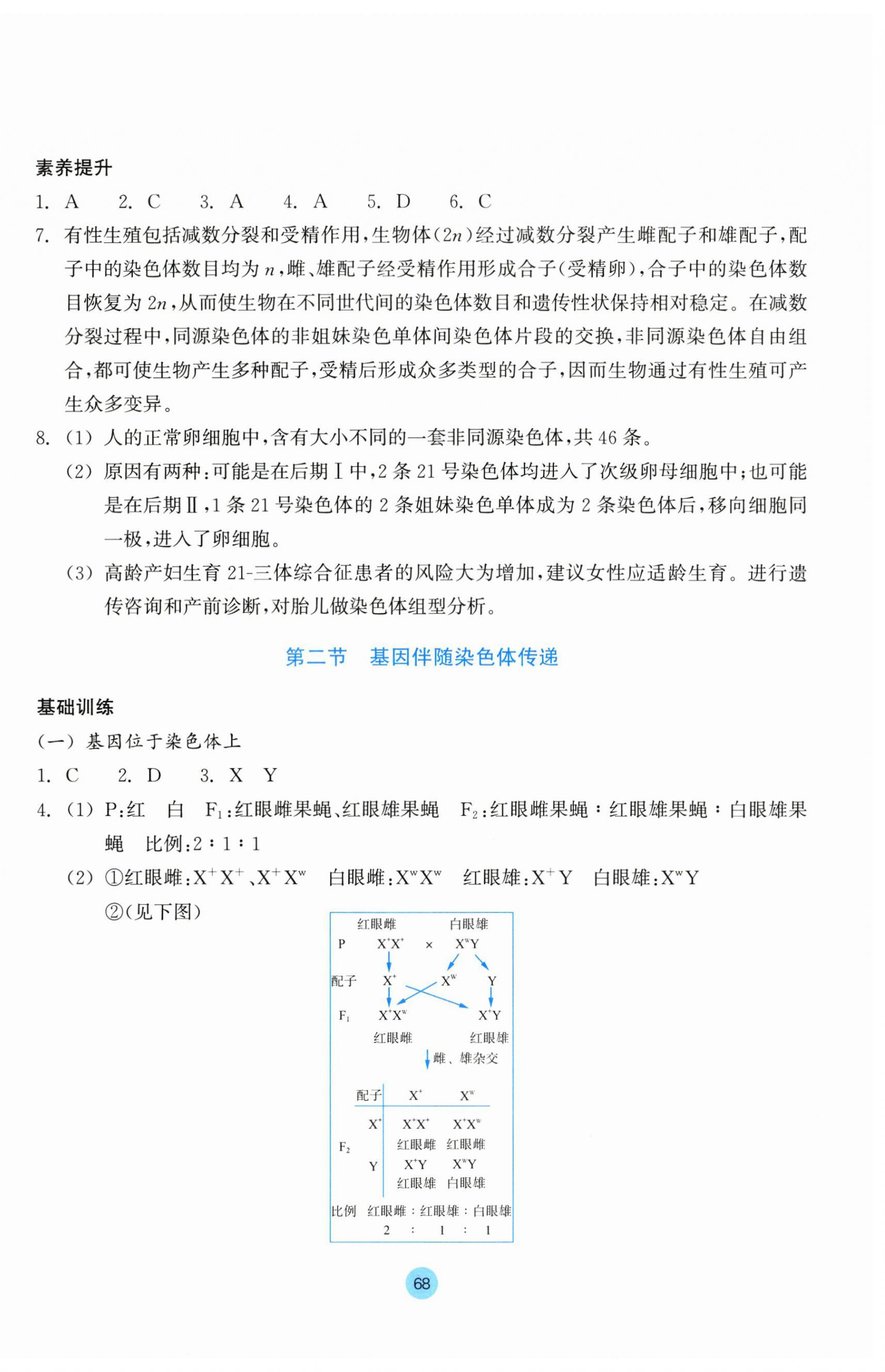 2025年作業(yè)本浙江教育出版社高中生物必修2雙色版浙科版 第4頁