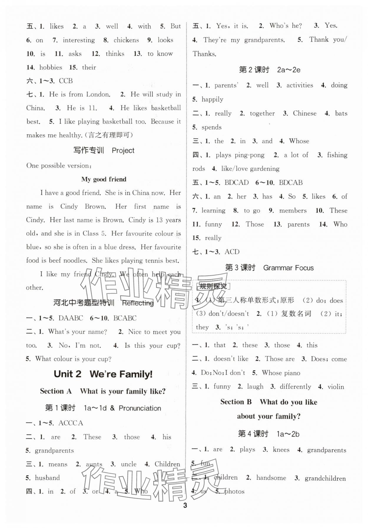 2025年通城学典课时作业本七年级英语上册人教版河北专版 第3页