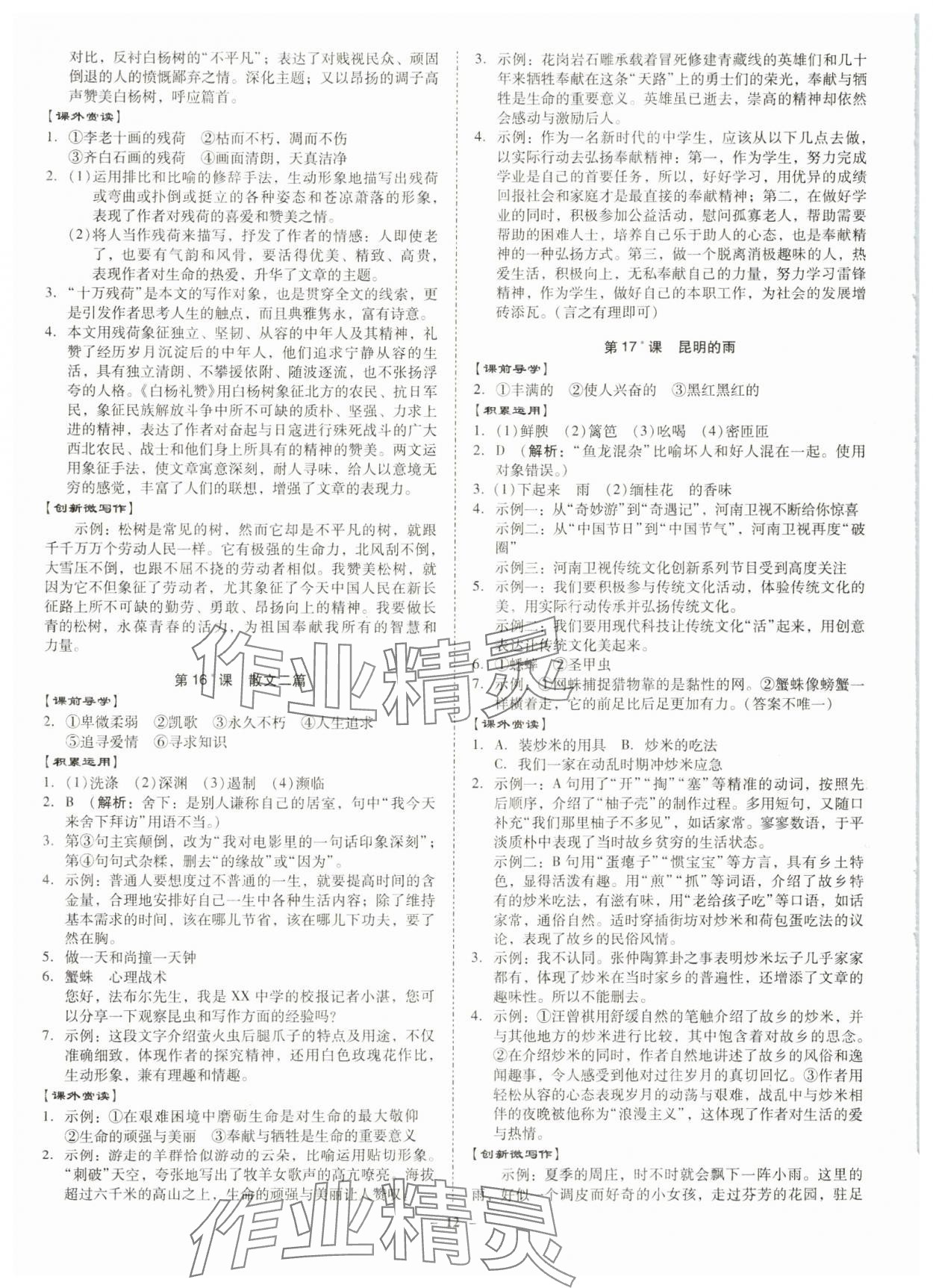 2024年金牌導(dǎo)學(xué)案八年級(jí)語(yǔ)文上冊(cè)人教版 第12頁(yè)