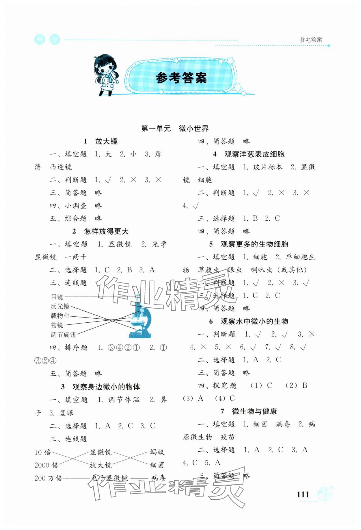 2024年開放課堂義務教育新課程導學案六年級科學上冊教科版 第1頁