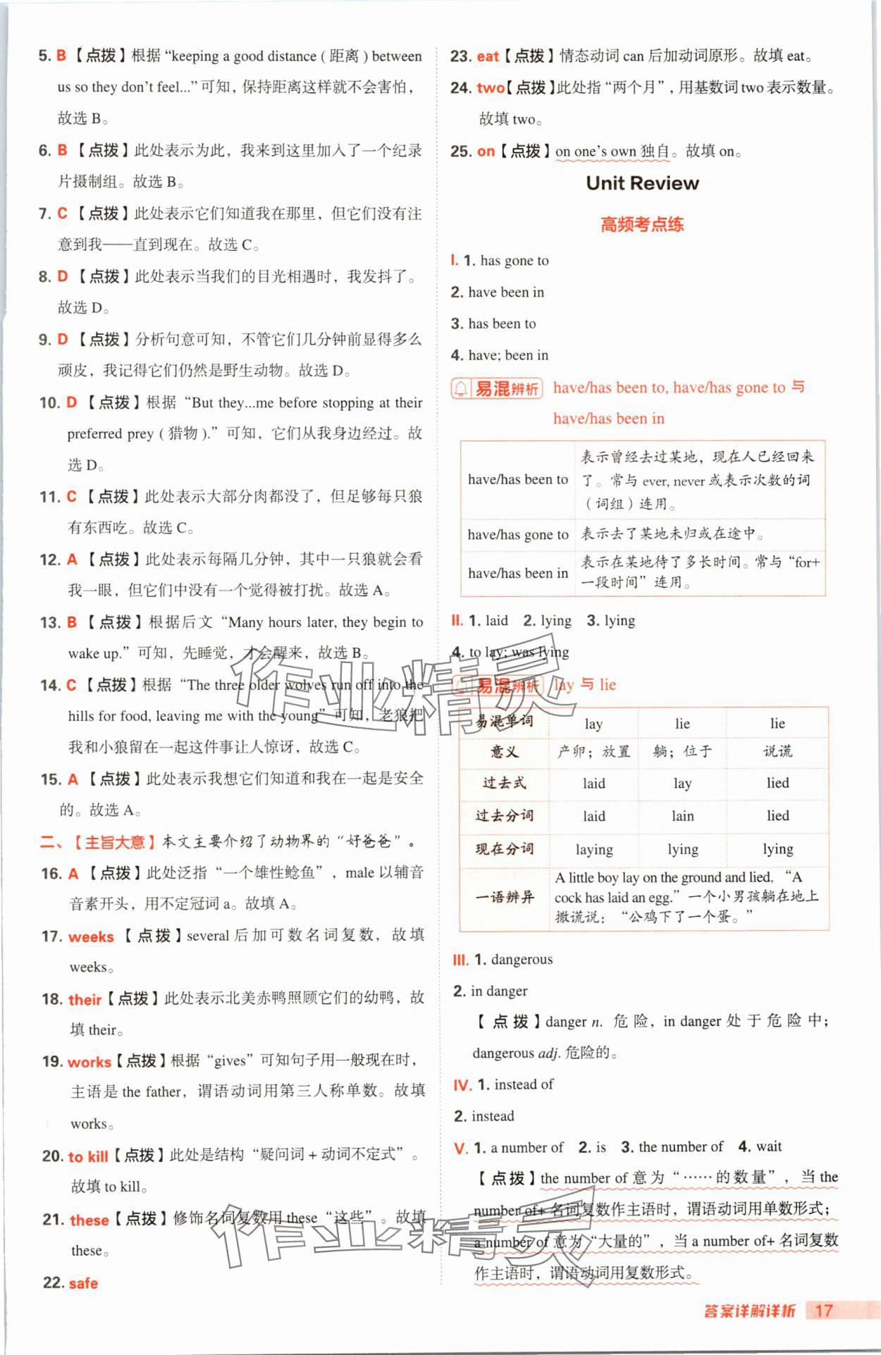 2025年综合应用创新题典中点八年级英语下册冀教版 第17页