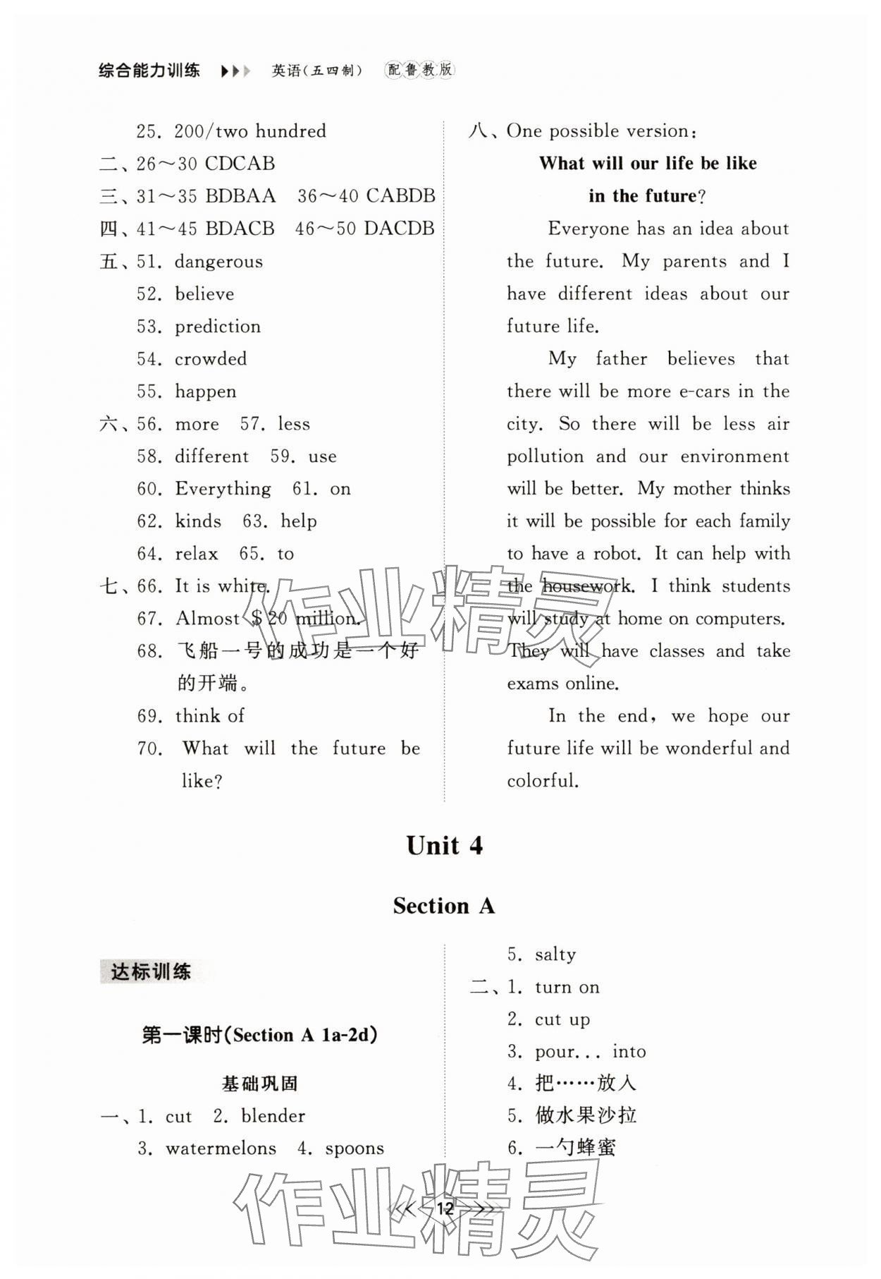 2025年綜合能力訓(xùn)練七年級英語下冊魯教版54制 參考答案第11頁