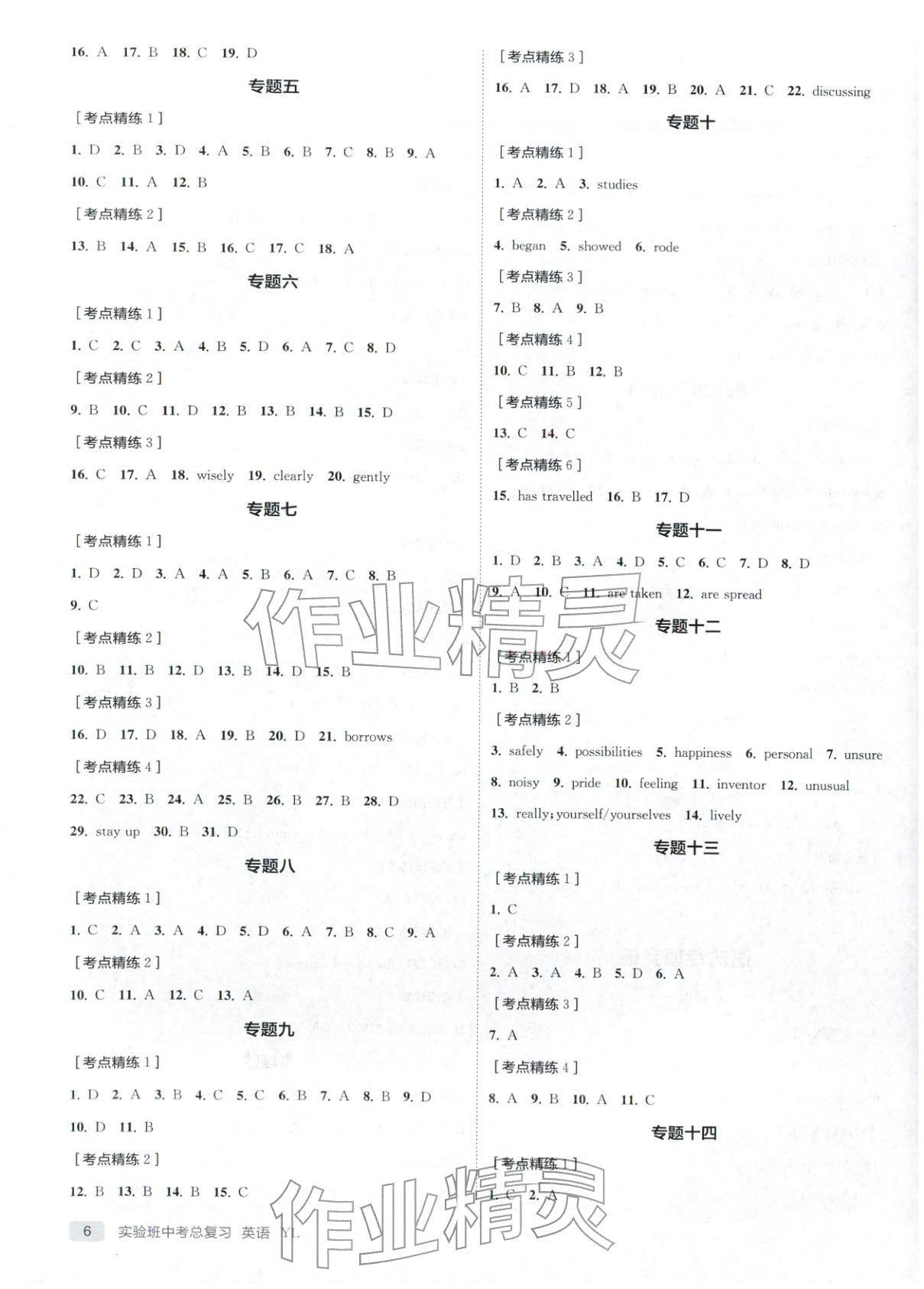 2026年实验班中考总复习九年级英语全一册译林版江苏专版&nbsp;第6页