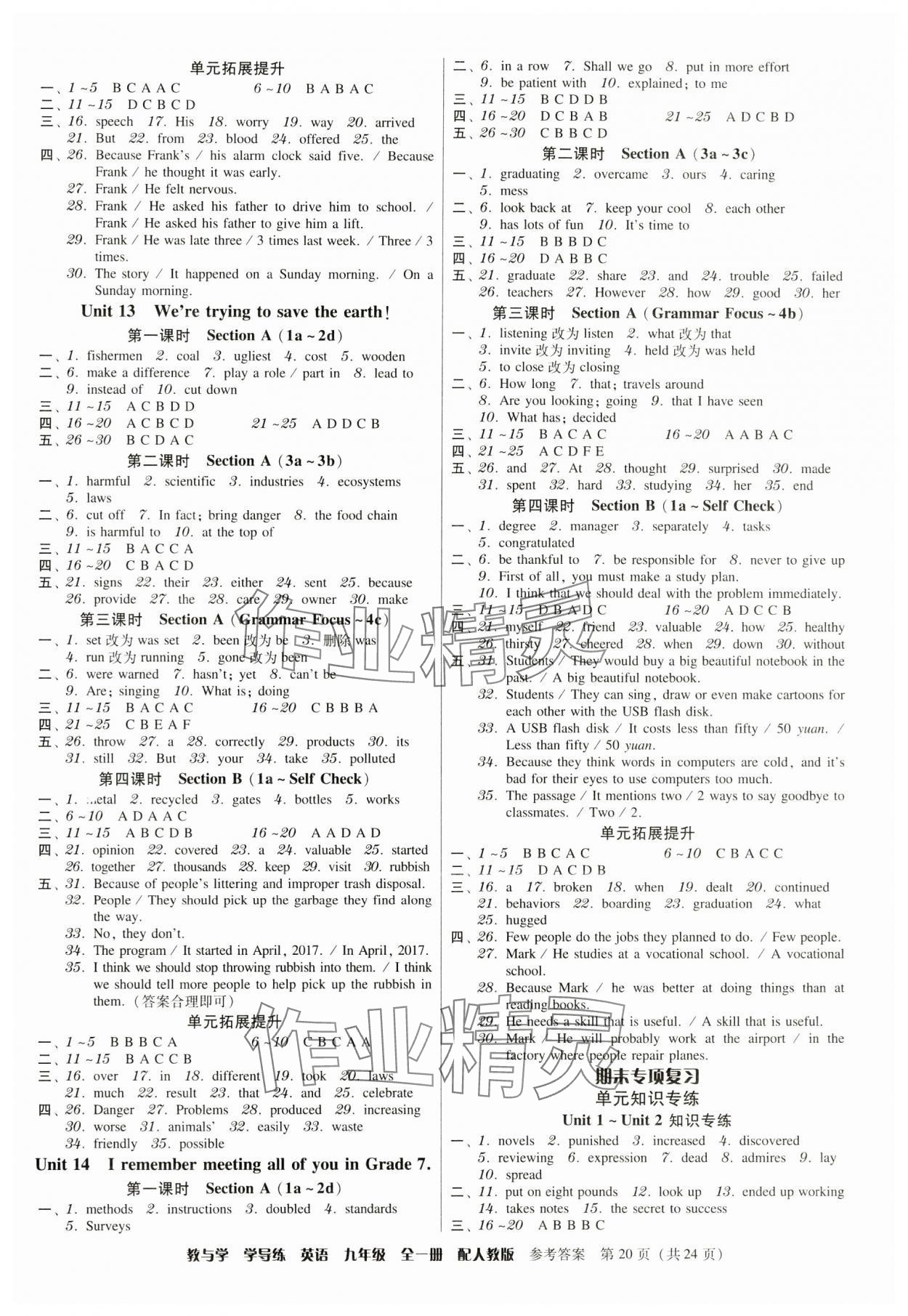 2024年教與學學導練九年級英語全一冊人教版 第20頁