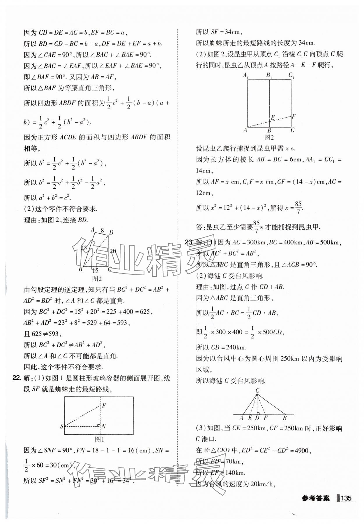 2024年遼寧作業(yè)分層培優(yōu)學案八年級數(shù)學上冊北師大版 第7頁