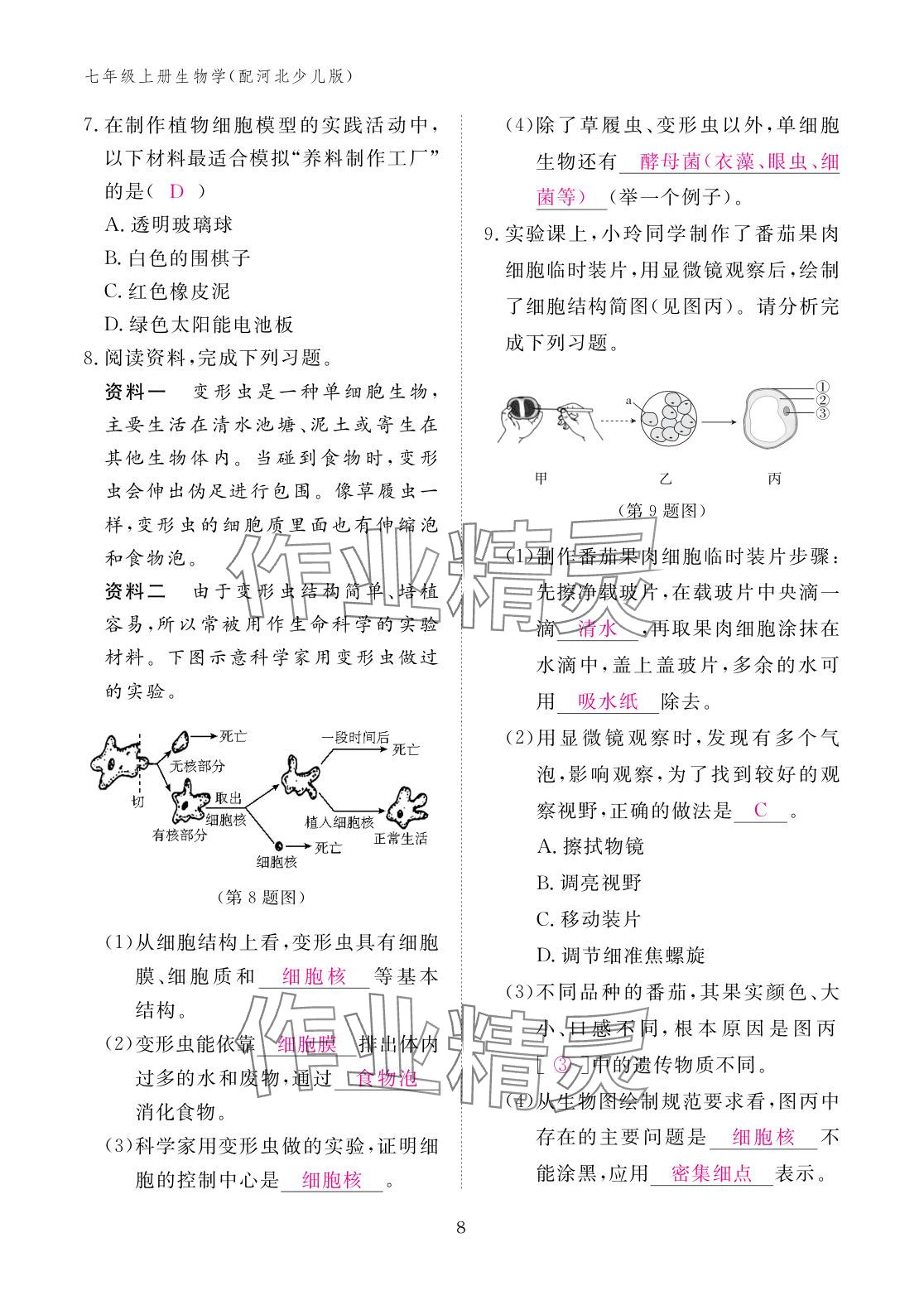 2025年作业本江西教育出版社七年级生物上册冀少版 参考答案第8页