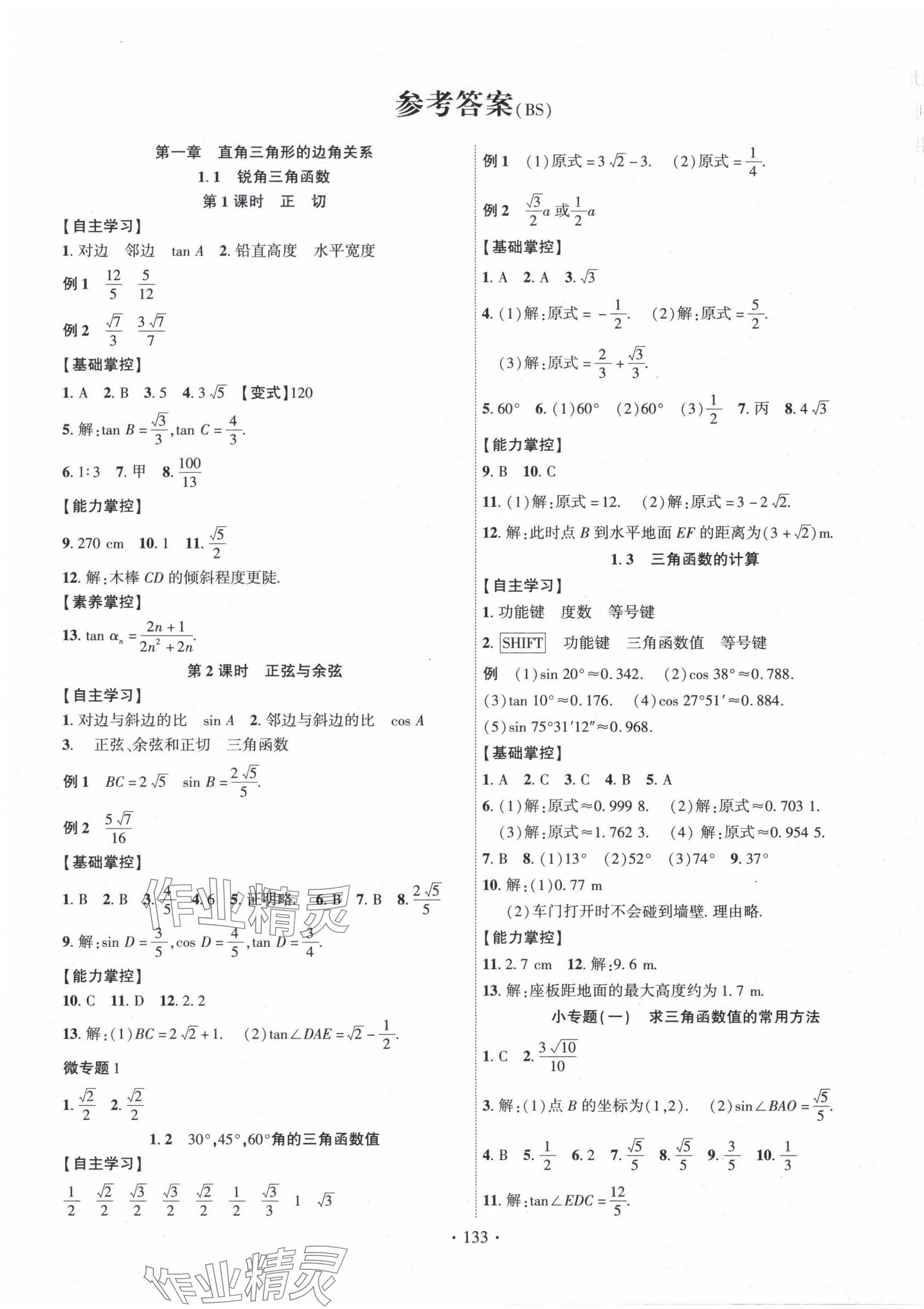 2025年課時掌控九年級數(shù)學下冊北師大版 第1頁