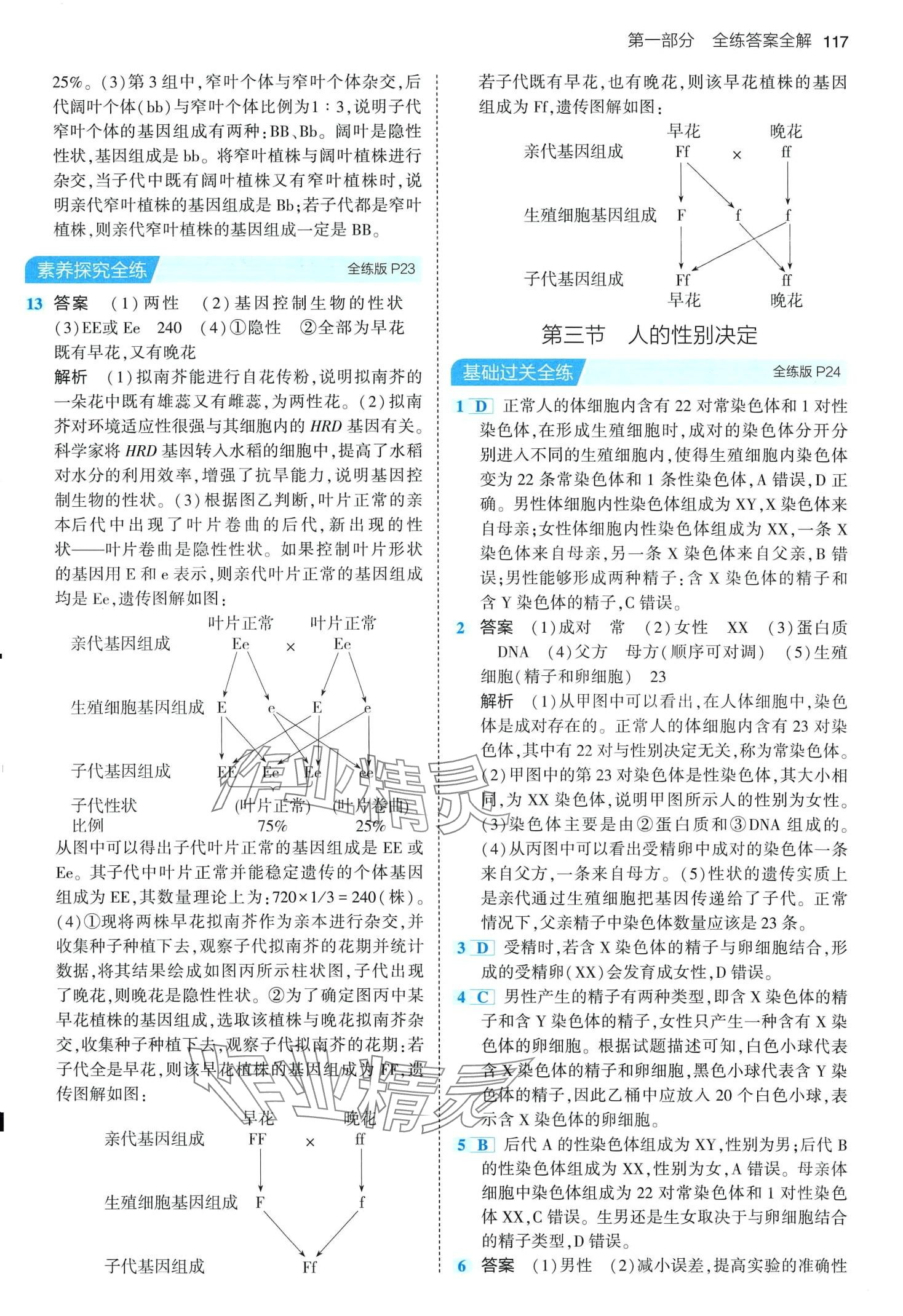 2024年5年中考3年模擬八年級(jí)生物下冊(cè)蘇教版 第7頁