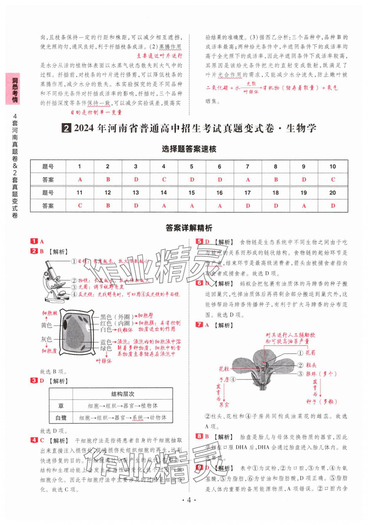 2025年鼎成中考河南中考真題匯編生物中考&nbsp;第4頁