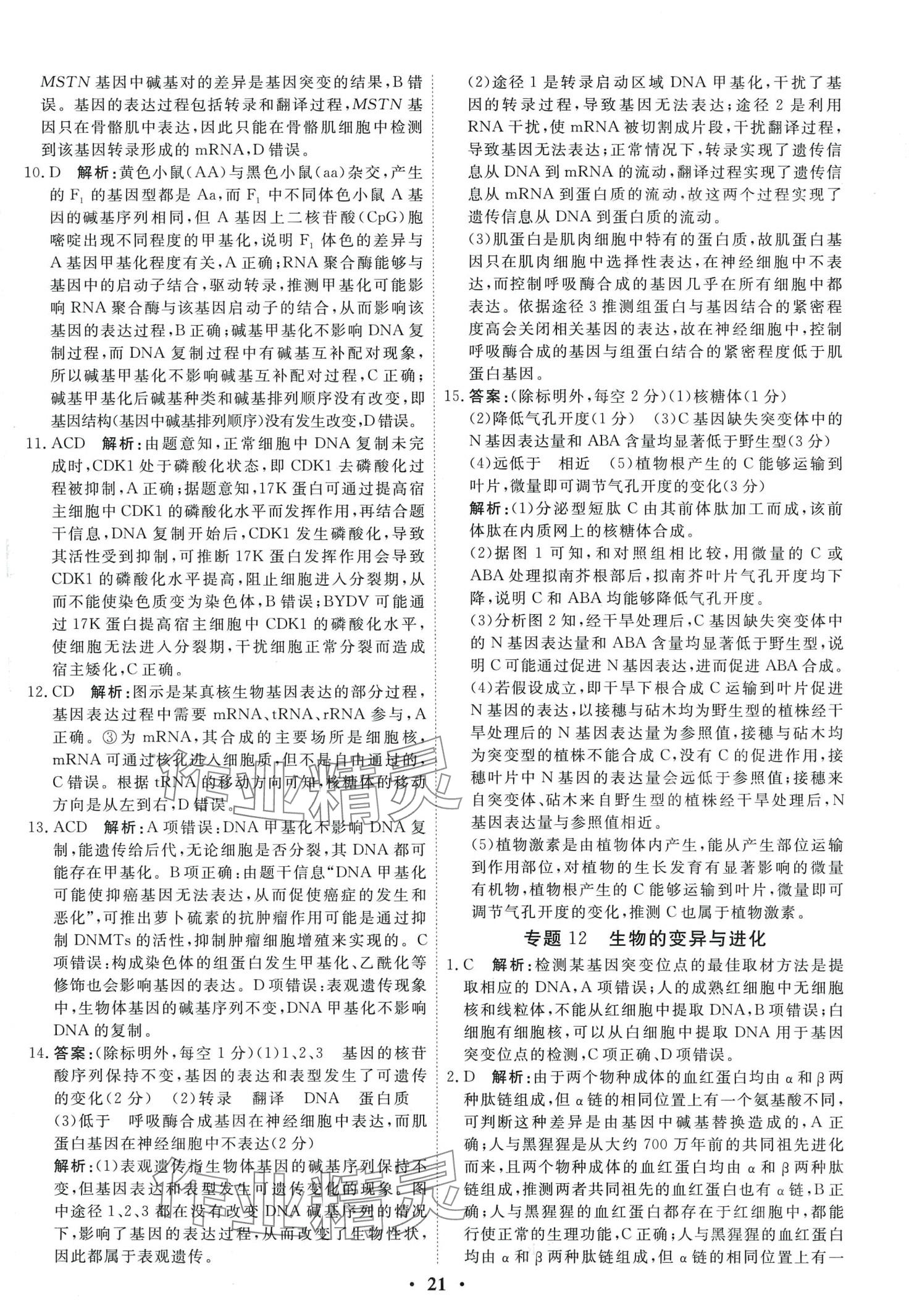 2024年衡水金卷高中生物通用版 第23頁