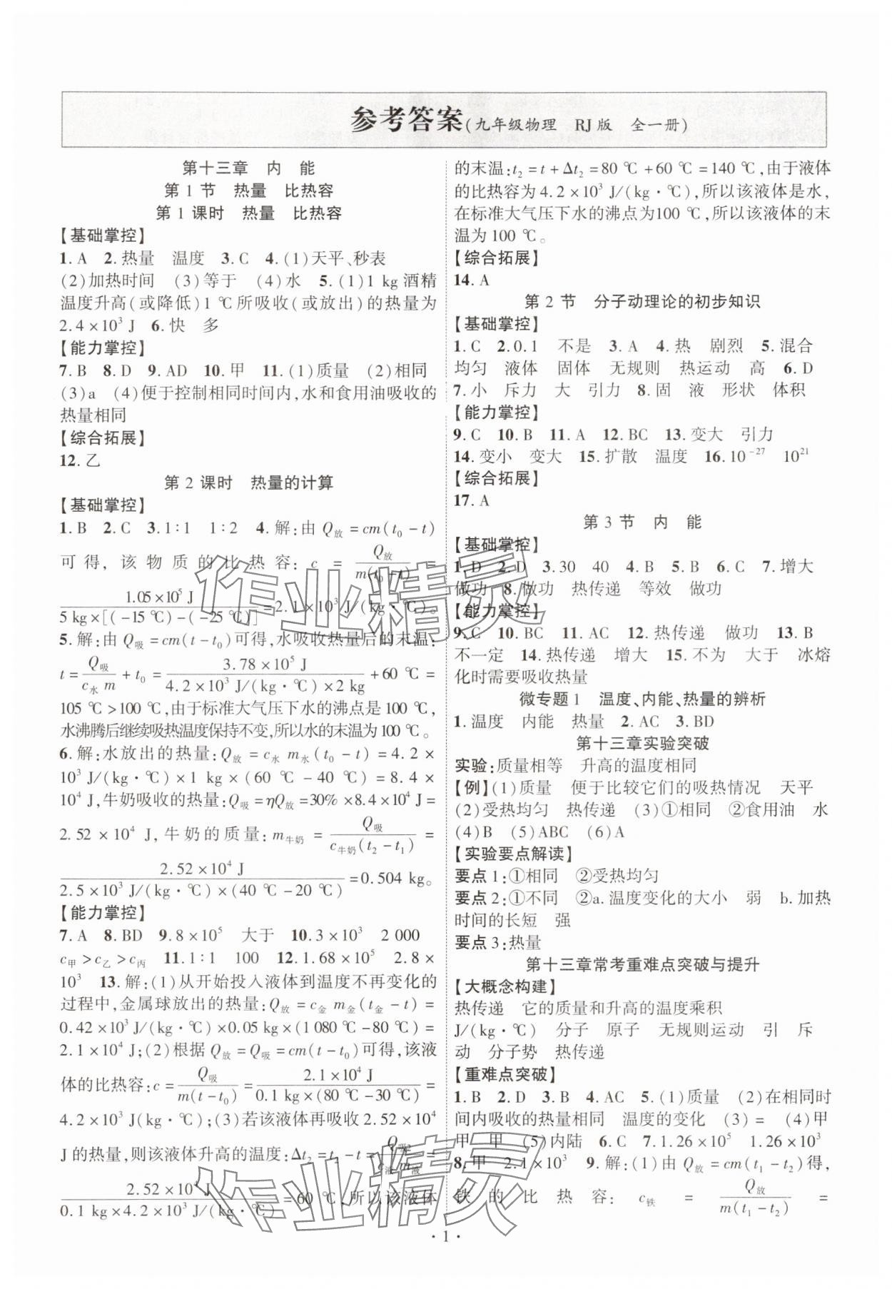 2025年课时掌控九年级物理全一册人教版 第1页
