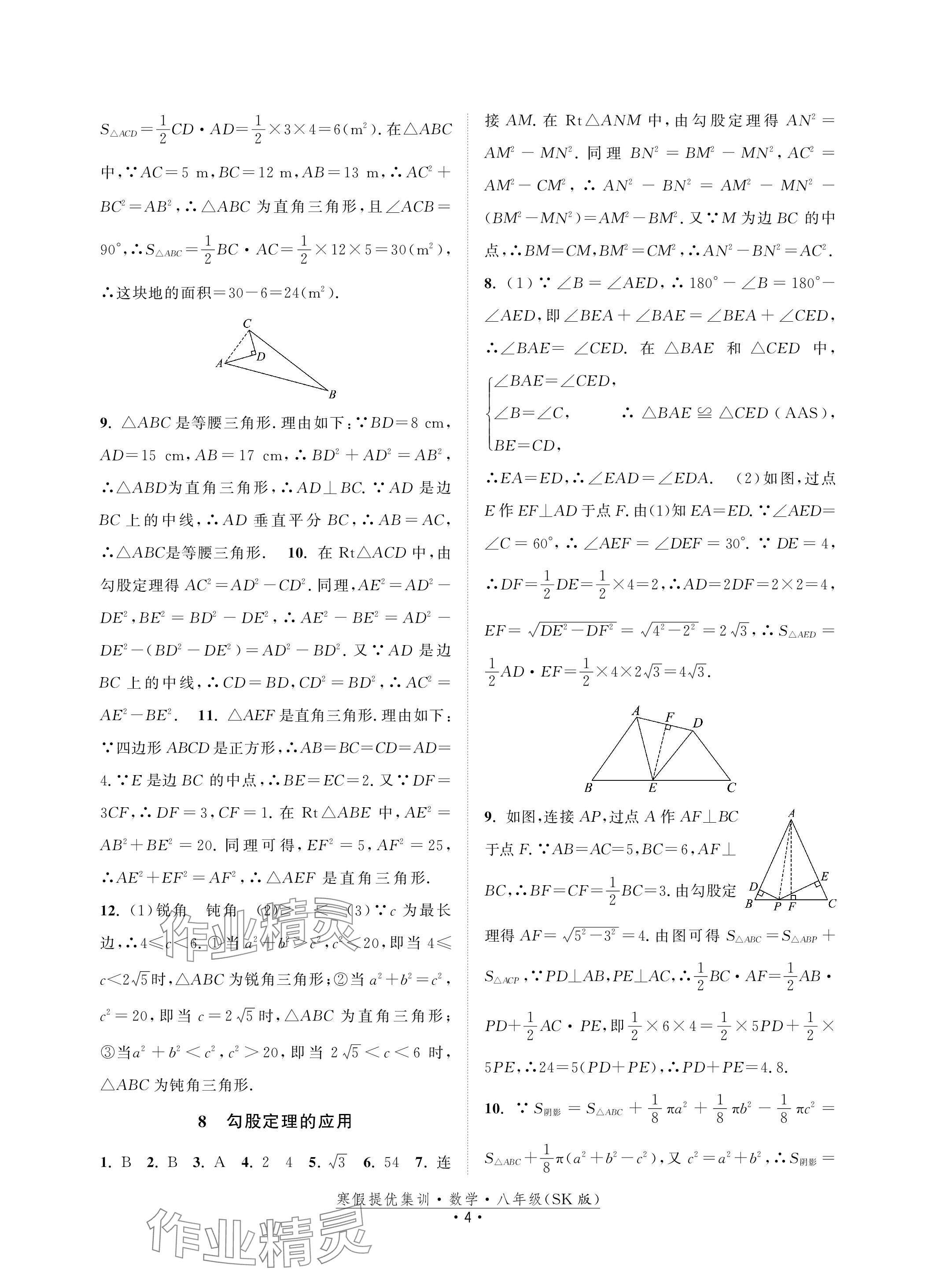 2024年寒假提優(yōu)集訓20天八年級數(shù)學蘇科版 參考答案第4頁