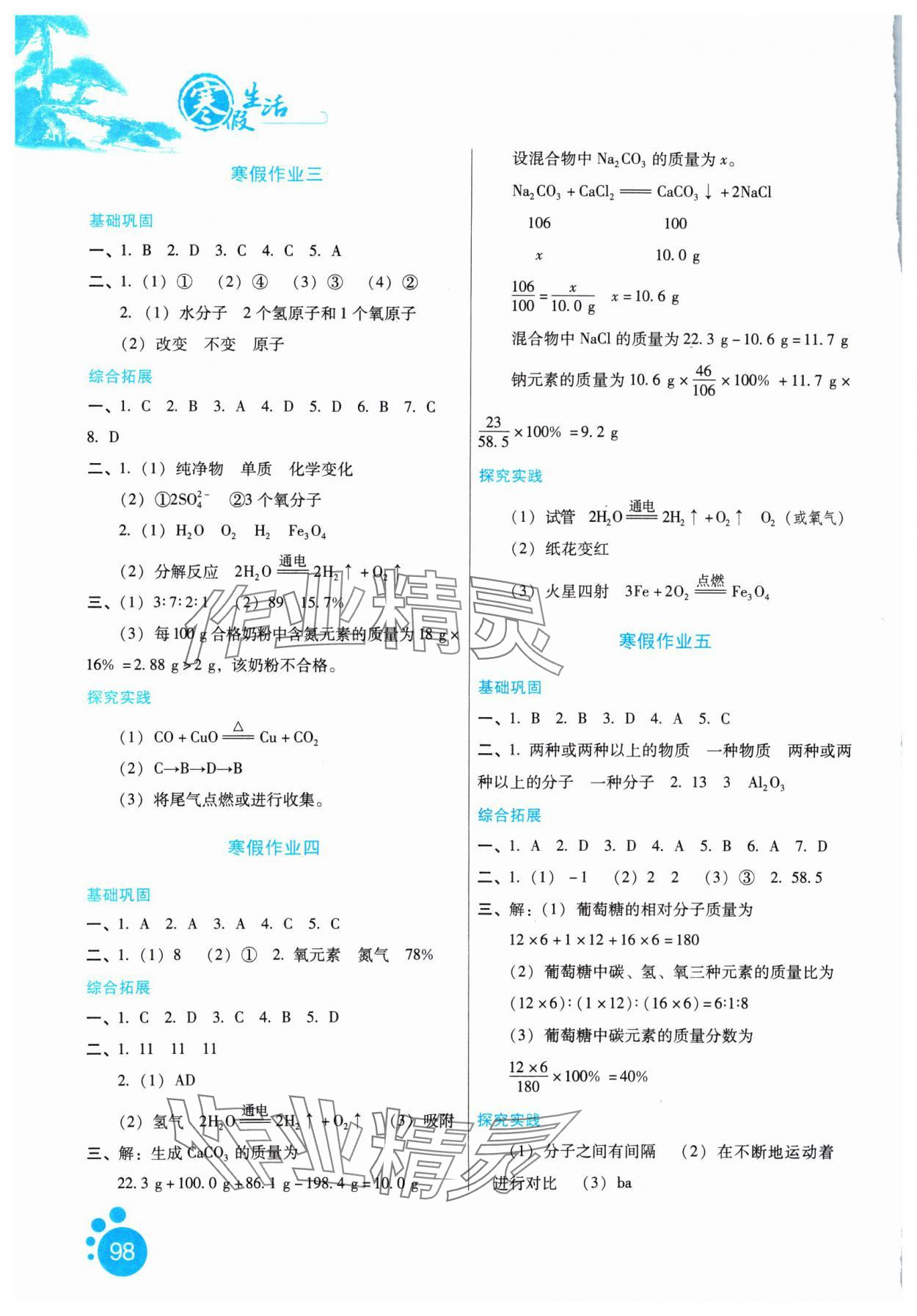 2025年寒假生活河北少年兒童出版社九年級合訂本 參考答案第2頁