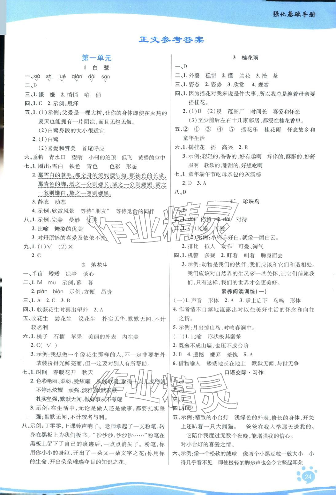 2025年学好语文课时作业优化设计五年级语文上册人教版 第1页