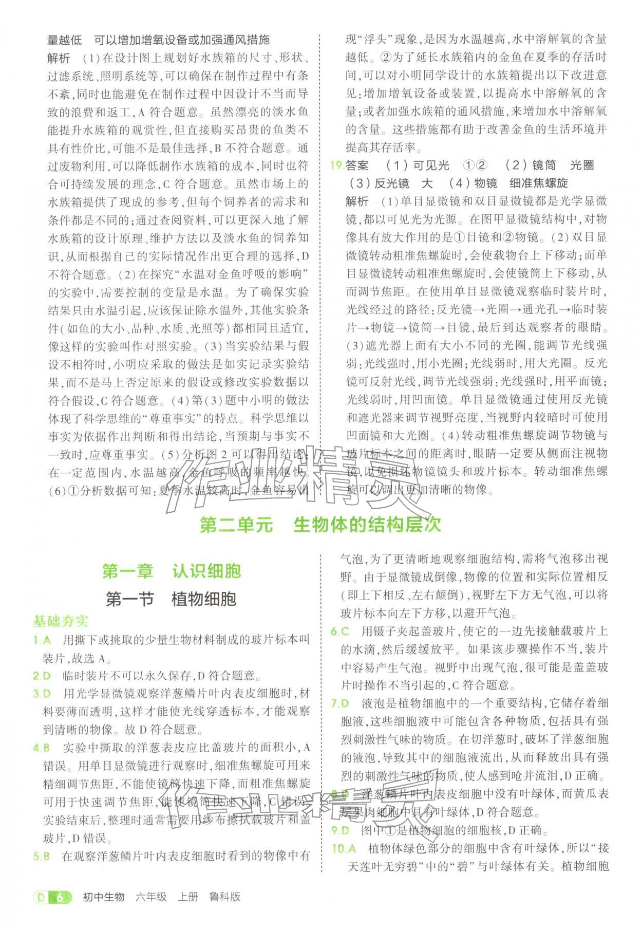 2025年5年中考3年模擬六年級(jí)生物上冊(cè)魯科版五四制 參考答案第6頁(yè)