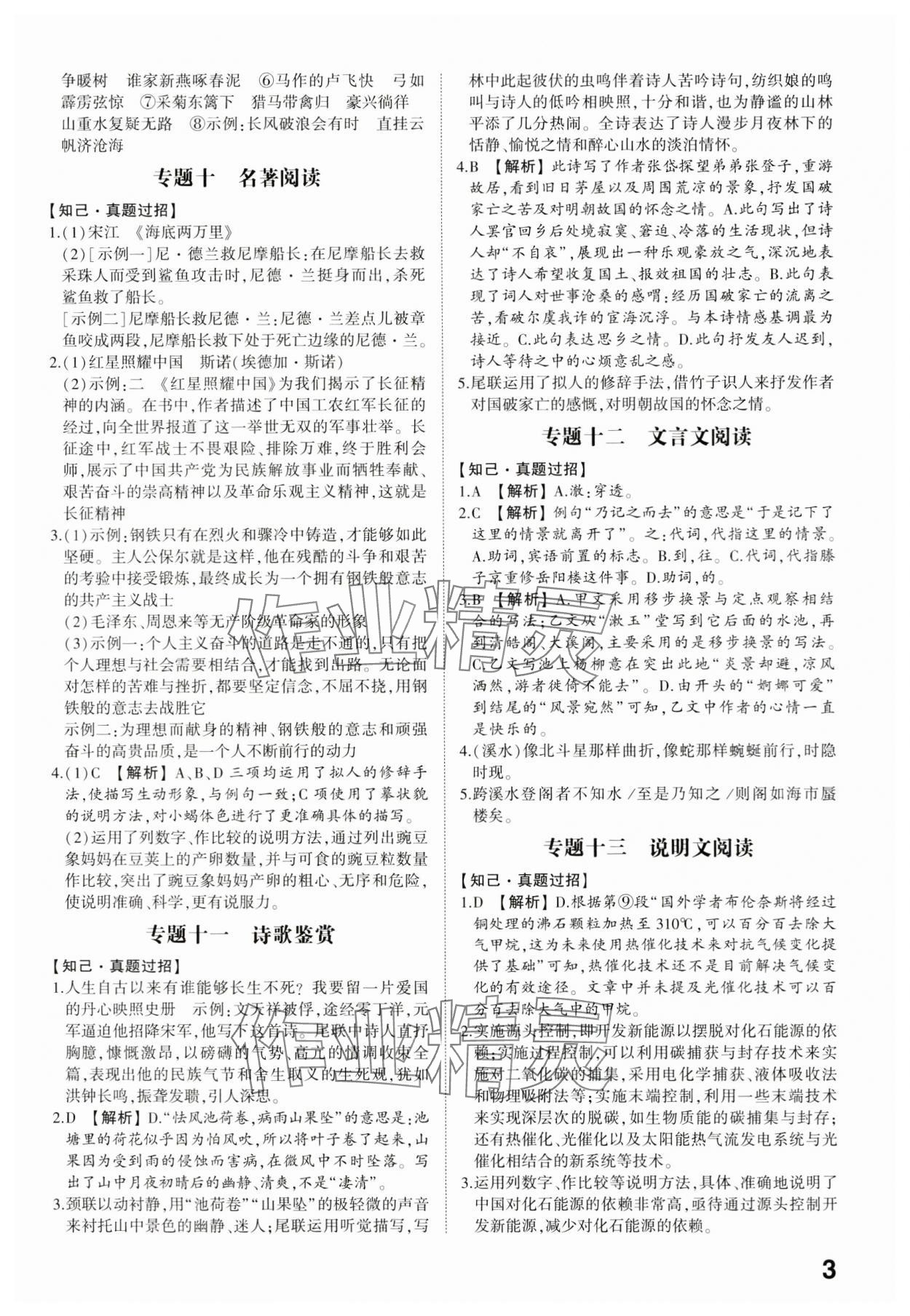 2024年中考備戰(zhàn)語(yǔ)文山東專版 參考答案第2頁(yè)