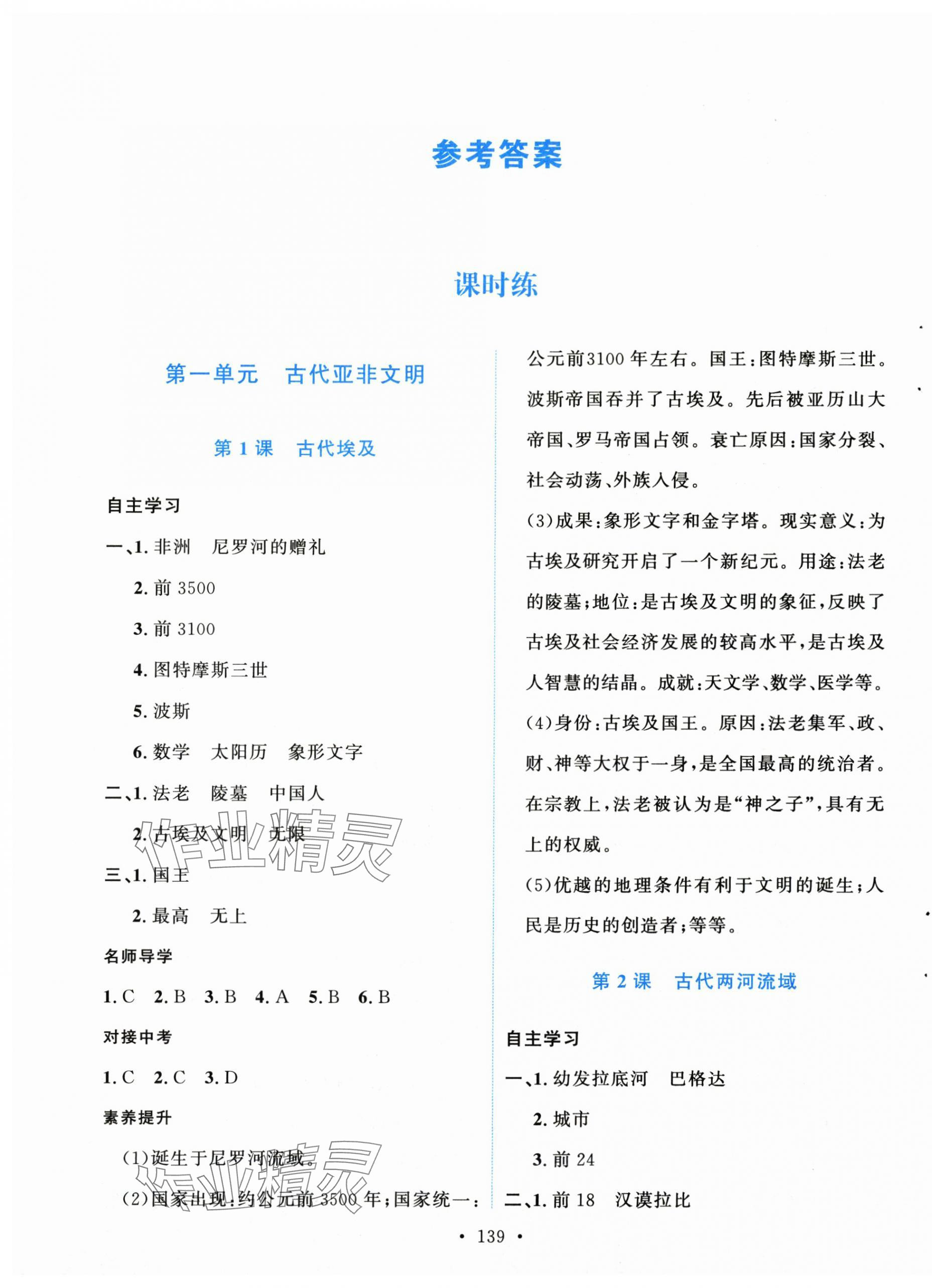2025年实验教材新学案九年级历史上册人教版 第1页