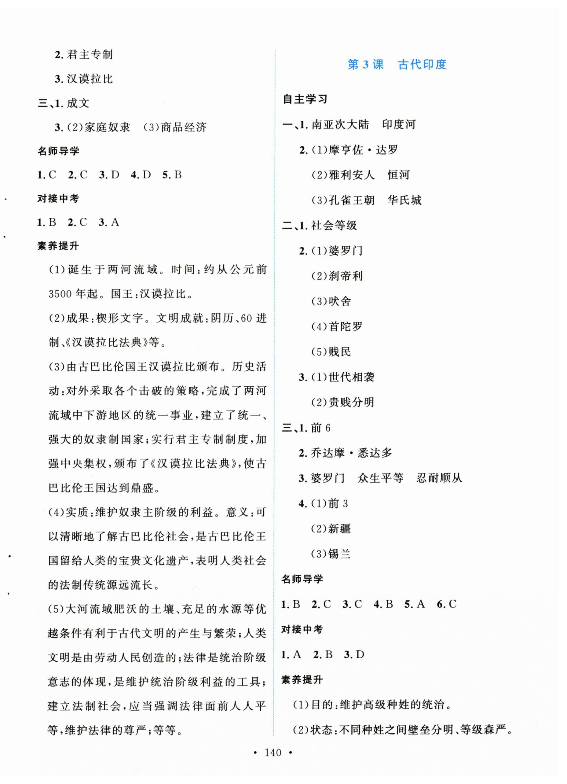 2025年实验教材新学案九年级历史上册人教版 第2页