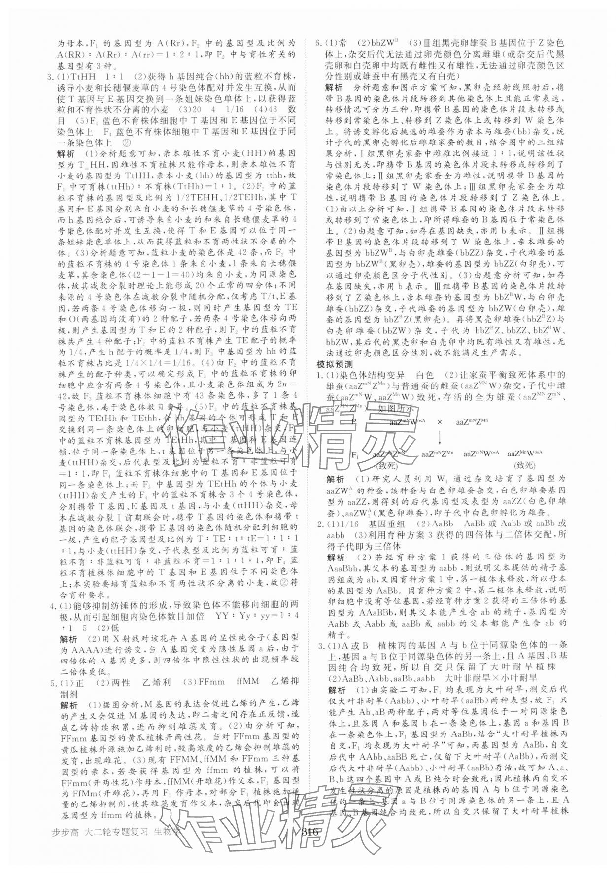 2025年步步高大二輪專題復習高中生物 參考答案第13頁