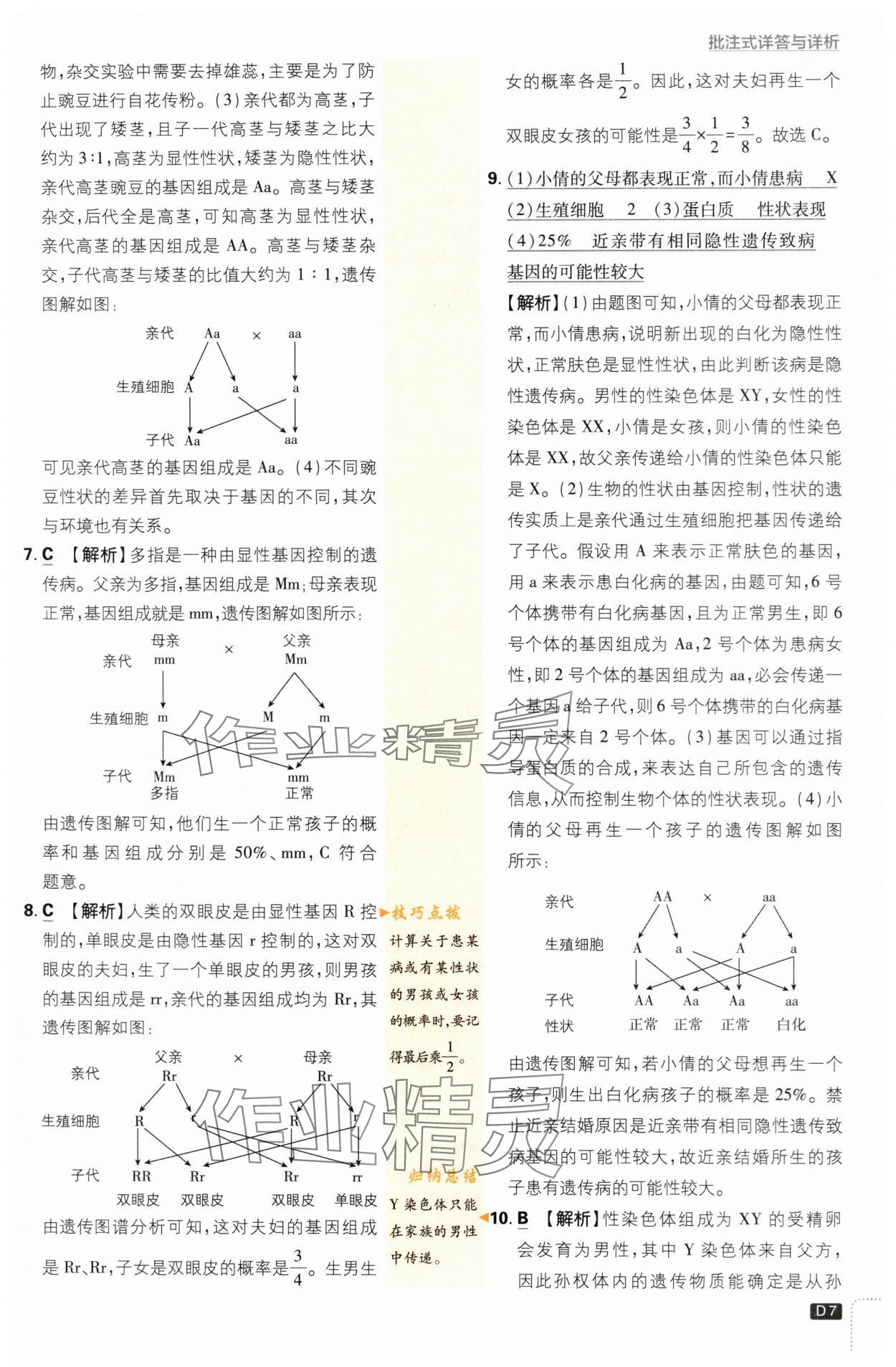 2024年初中必刷题八年级生物下册苏教版 第7页