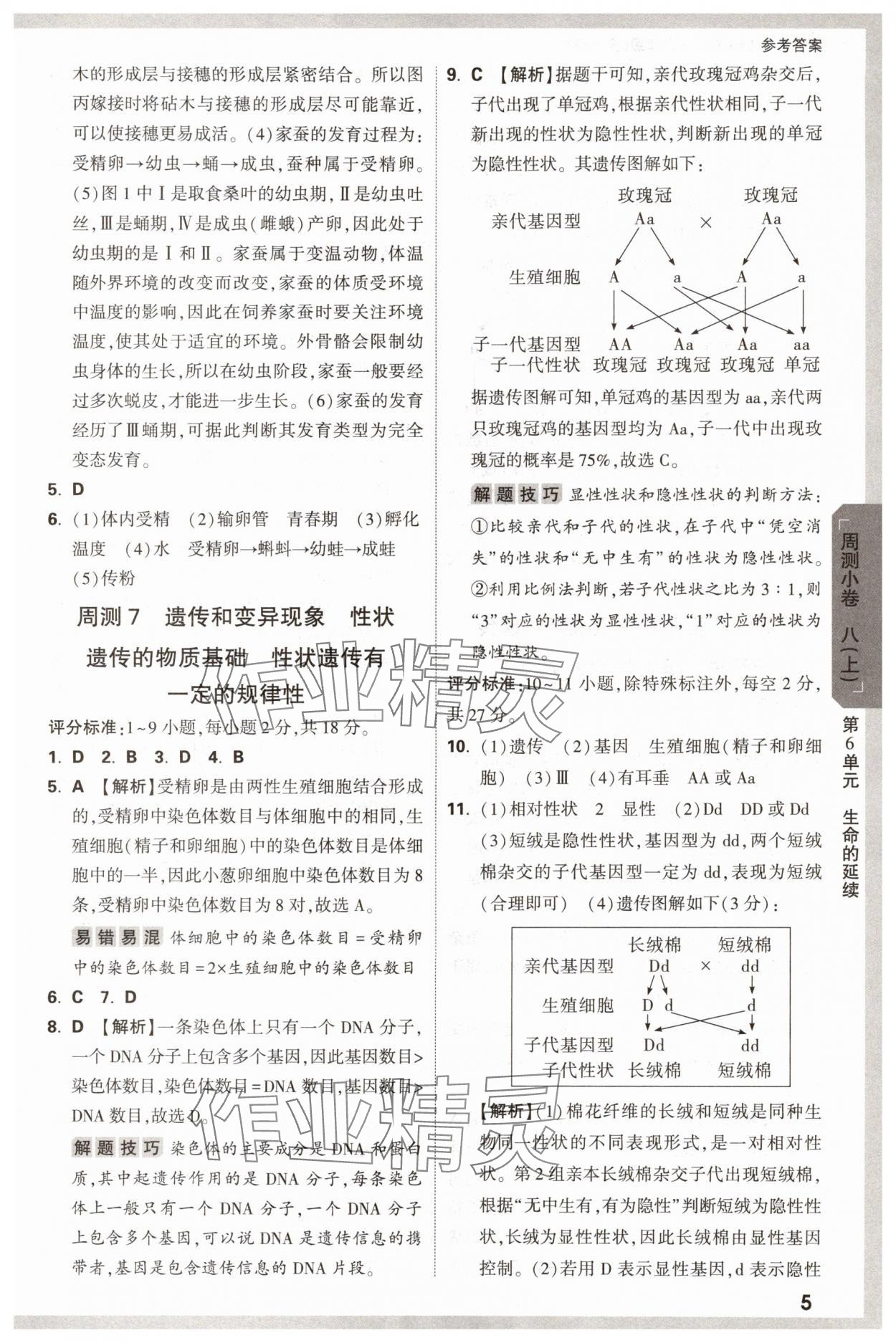 2025年萬唯中考大小卷八年級生物全一冊北師大版 參考答案第5頁