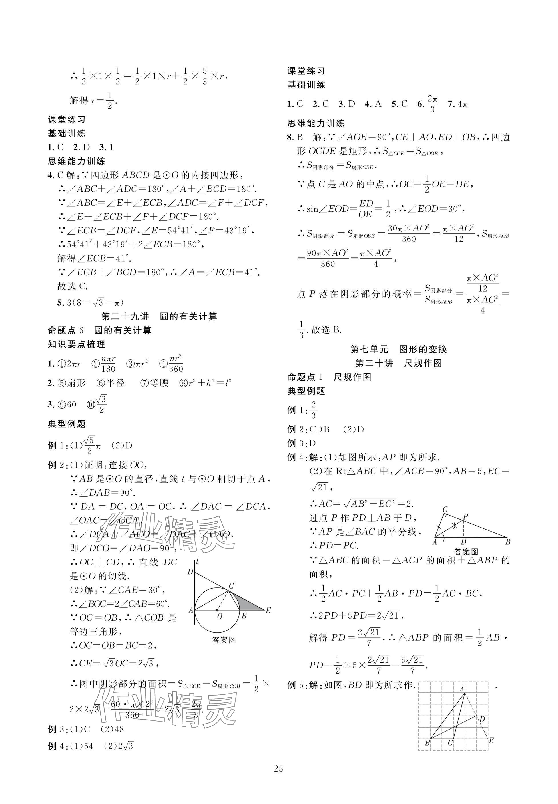 2025年復習直通車中考數學沖刺北師大版 參考答案第25頁