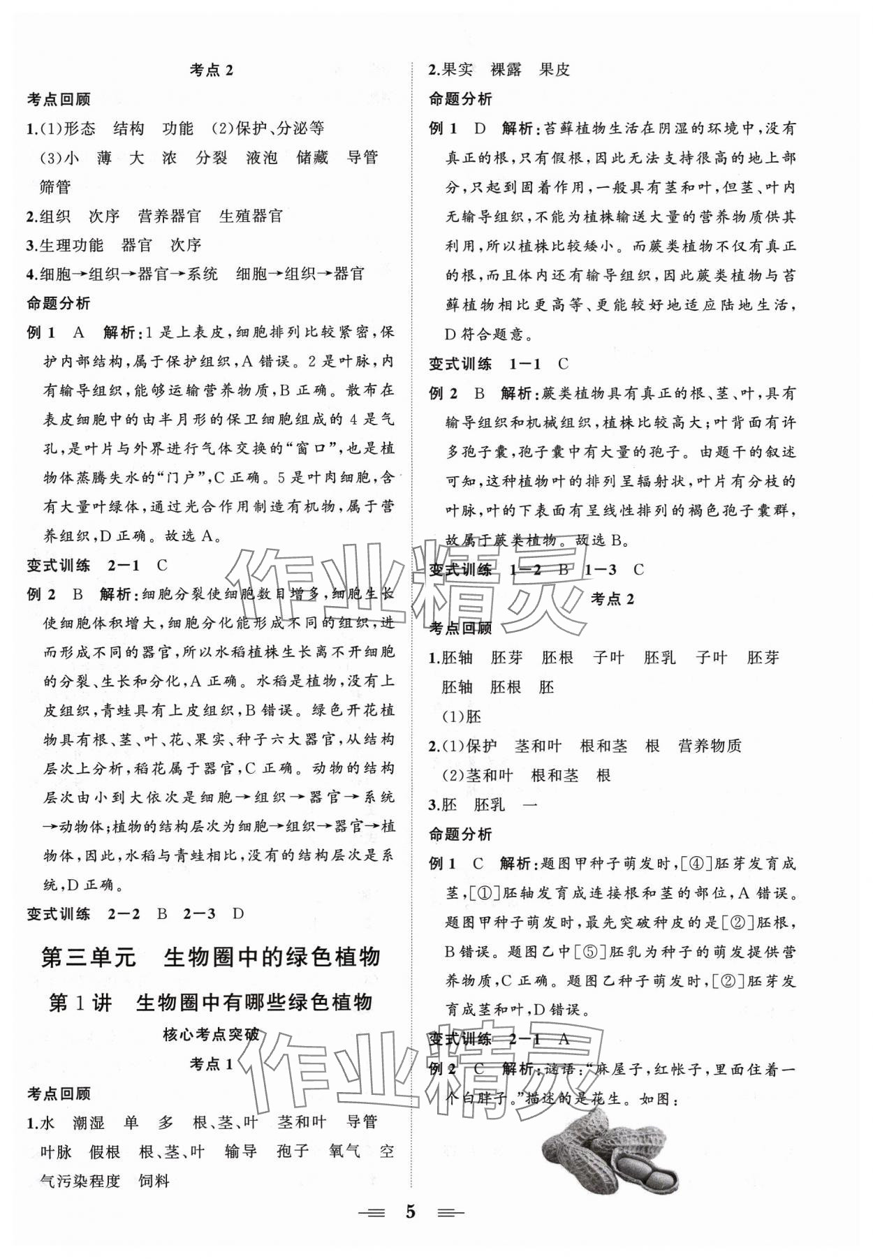 2024年初中中考山東教育出版社生物 第5頁