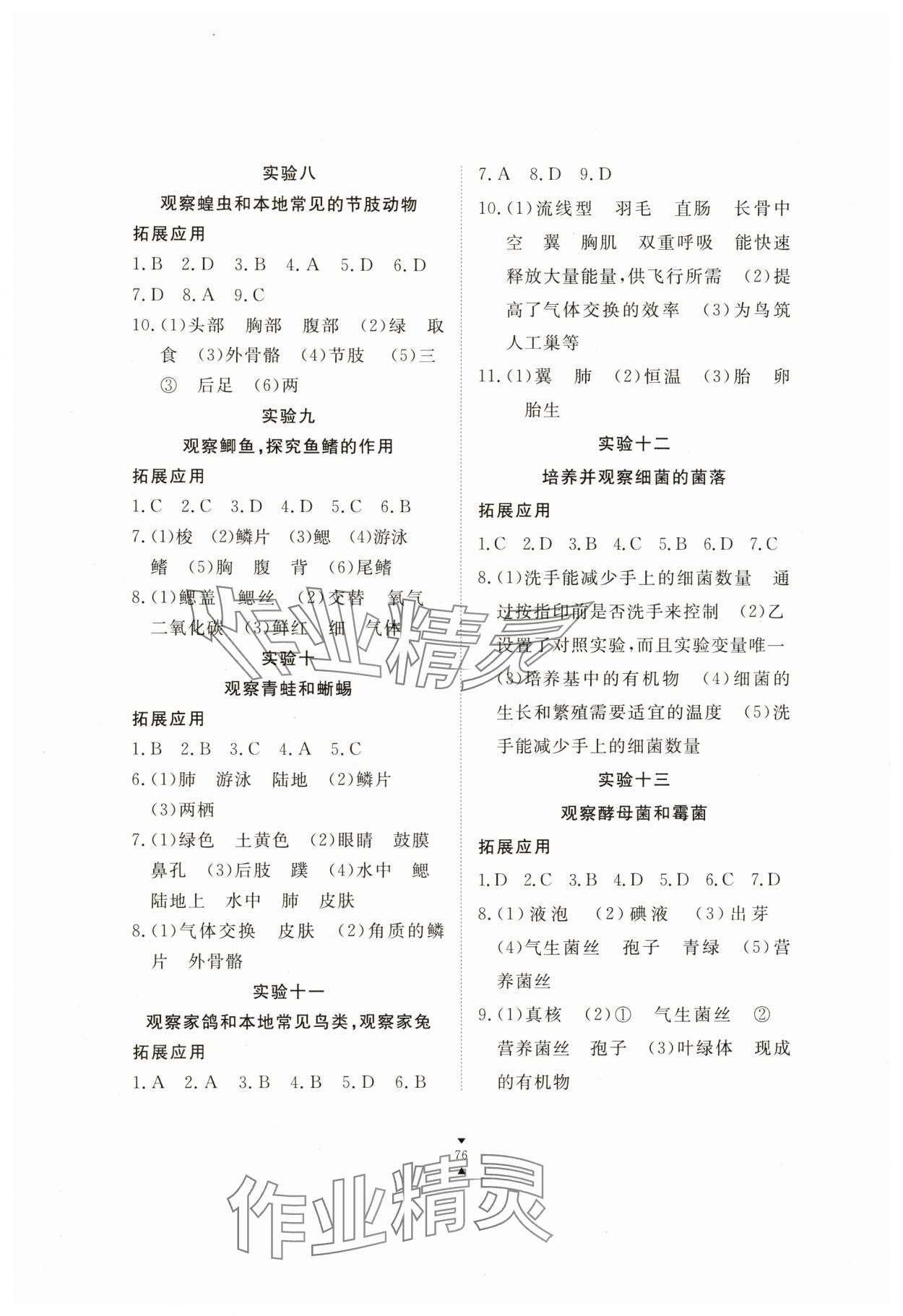 2025年实验报告册江西教育出版社七年级生物上册冀少版 第2页