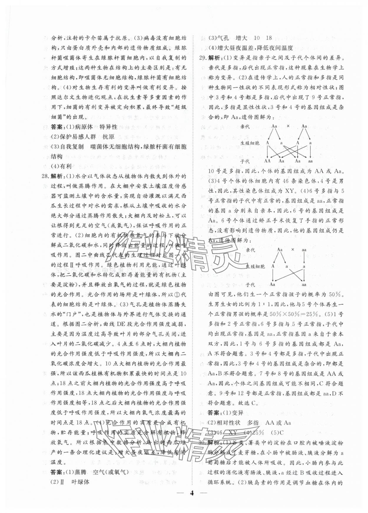 2024年風(fēng)向標初中學(xué)業(yè)水平測試山東省各地市中考試題匯編生物 參考答案第4頁