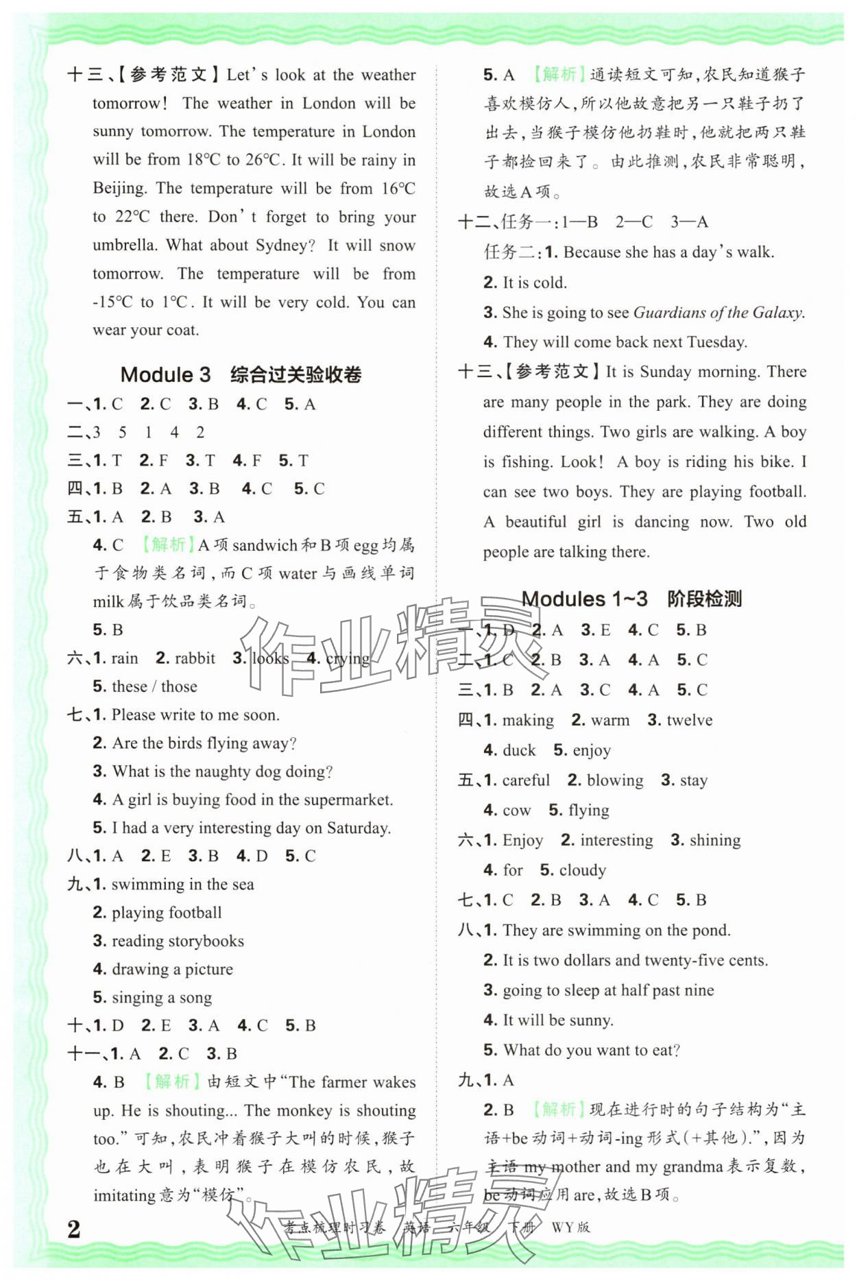 2025年王朝霞考点梳理时习卷六年级英语下册外研版 第2页