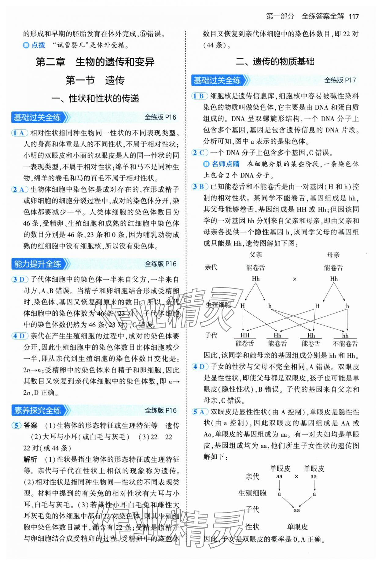 2025年5年中考3年模拟八年级生物下册冀少版 参考答案第7页