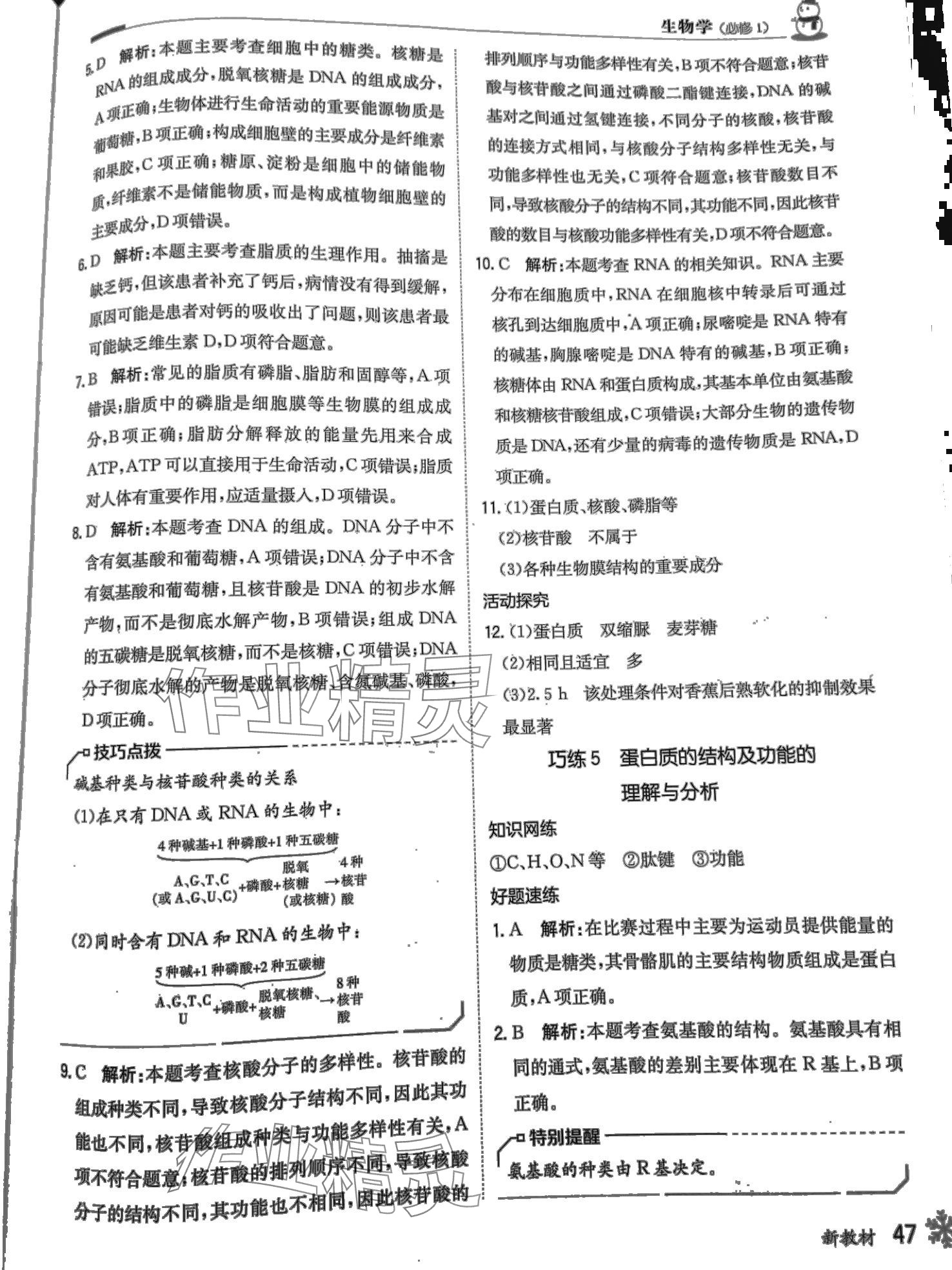 2024年假日巧練寒假高一生物 第5頁