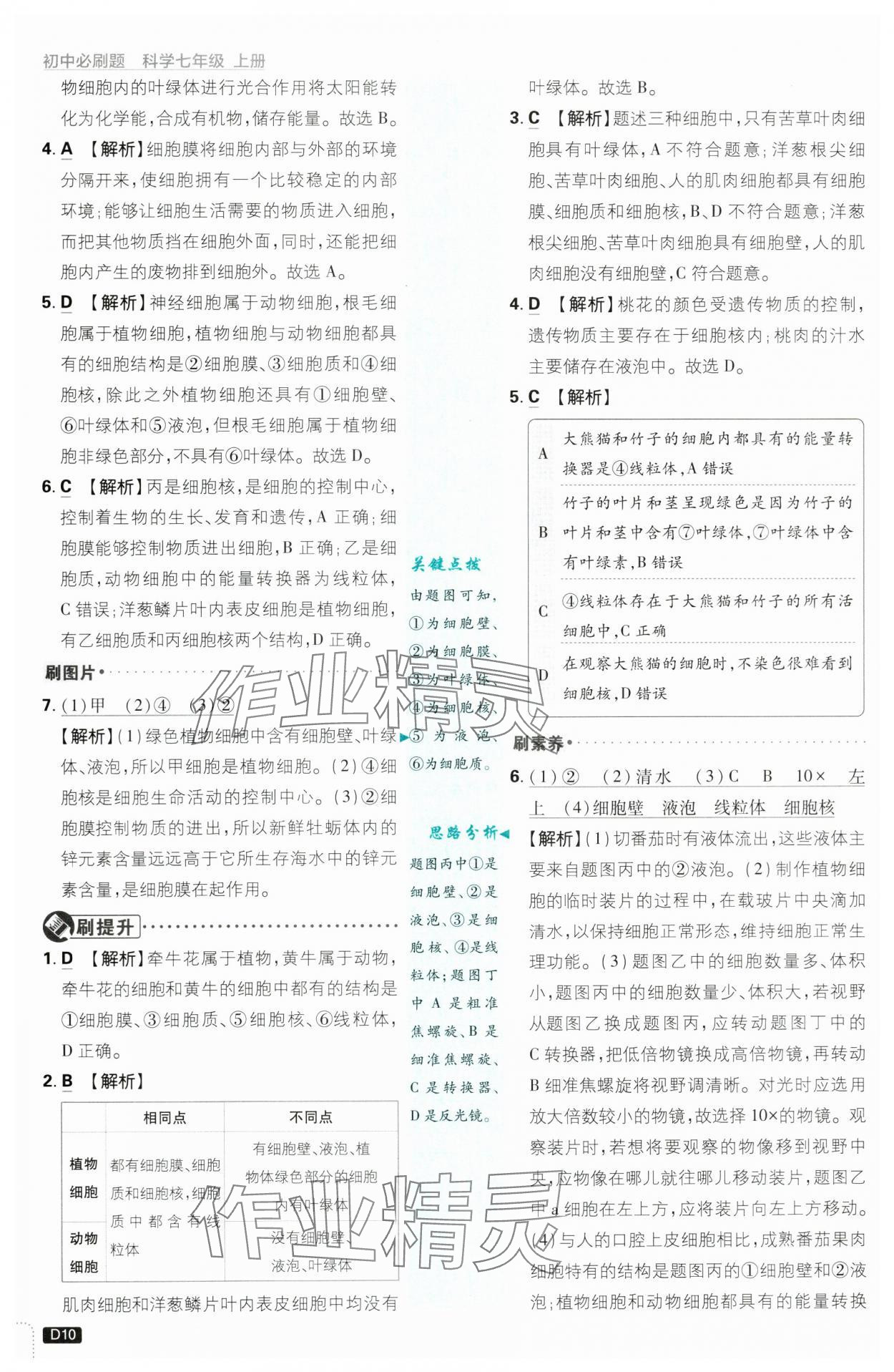 2024年初中必刷题七年级科学上册浙教版浙江专版 第10页