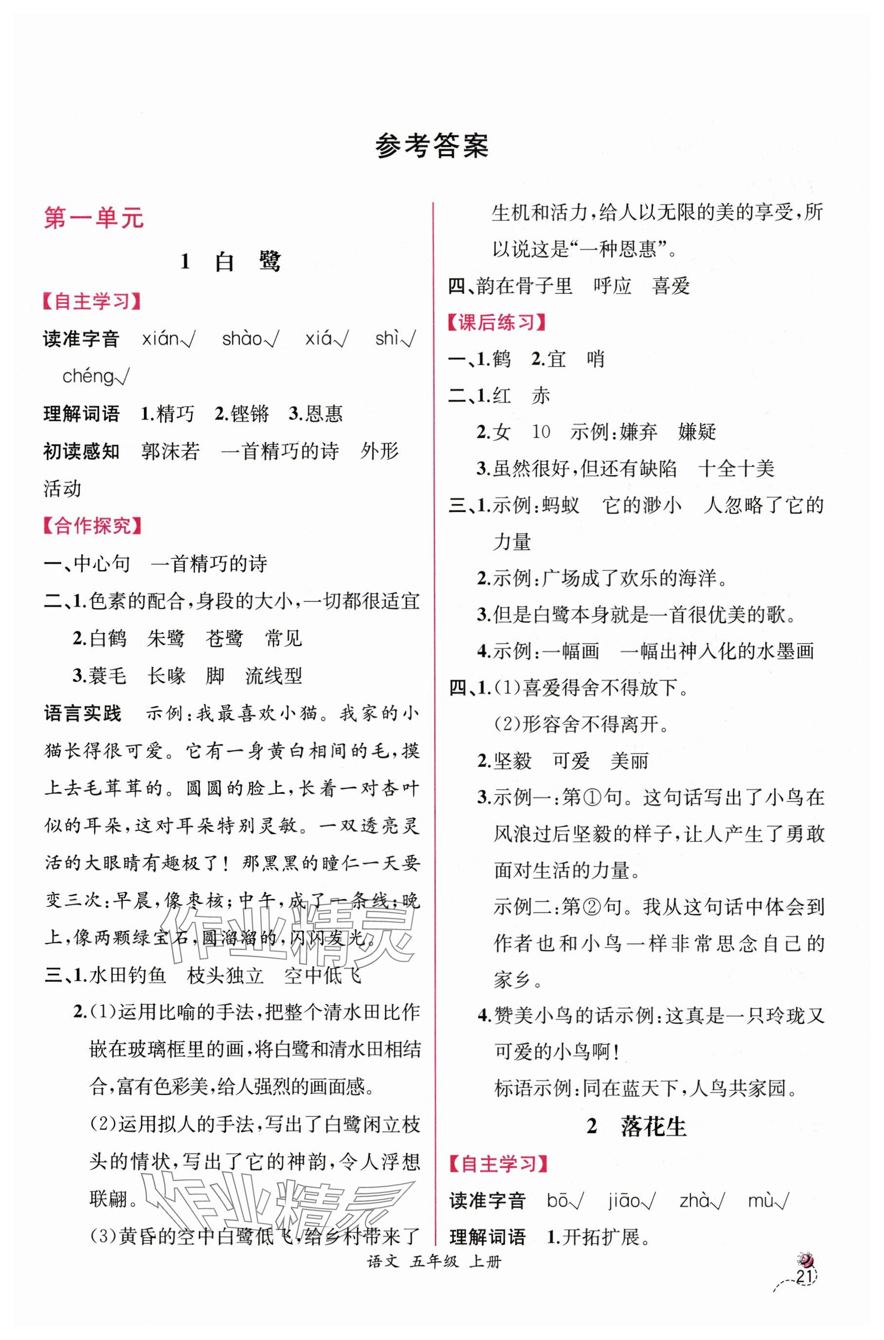 2025年课时练人民教育出版社五年级语文上册人教版 参考答案第1页