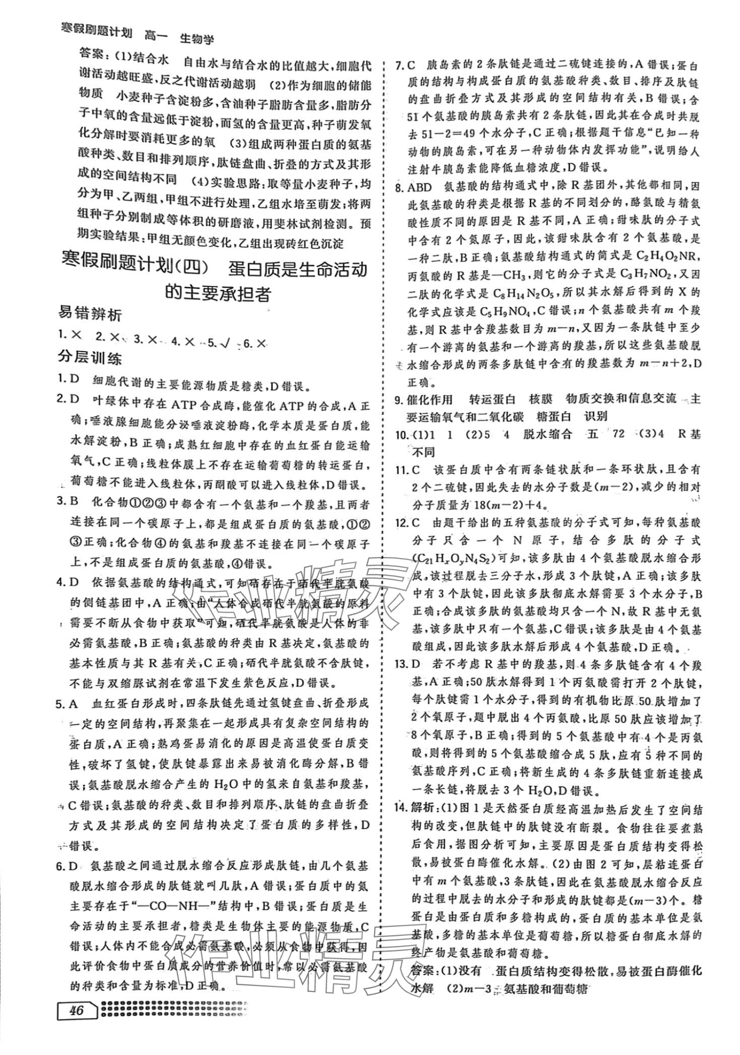 2024年寒假刷題計(jì)劃高一生物&nbsp;第4頁