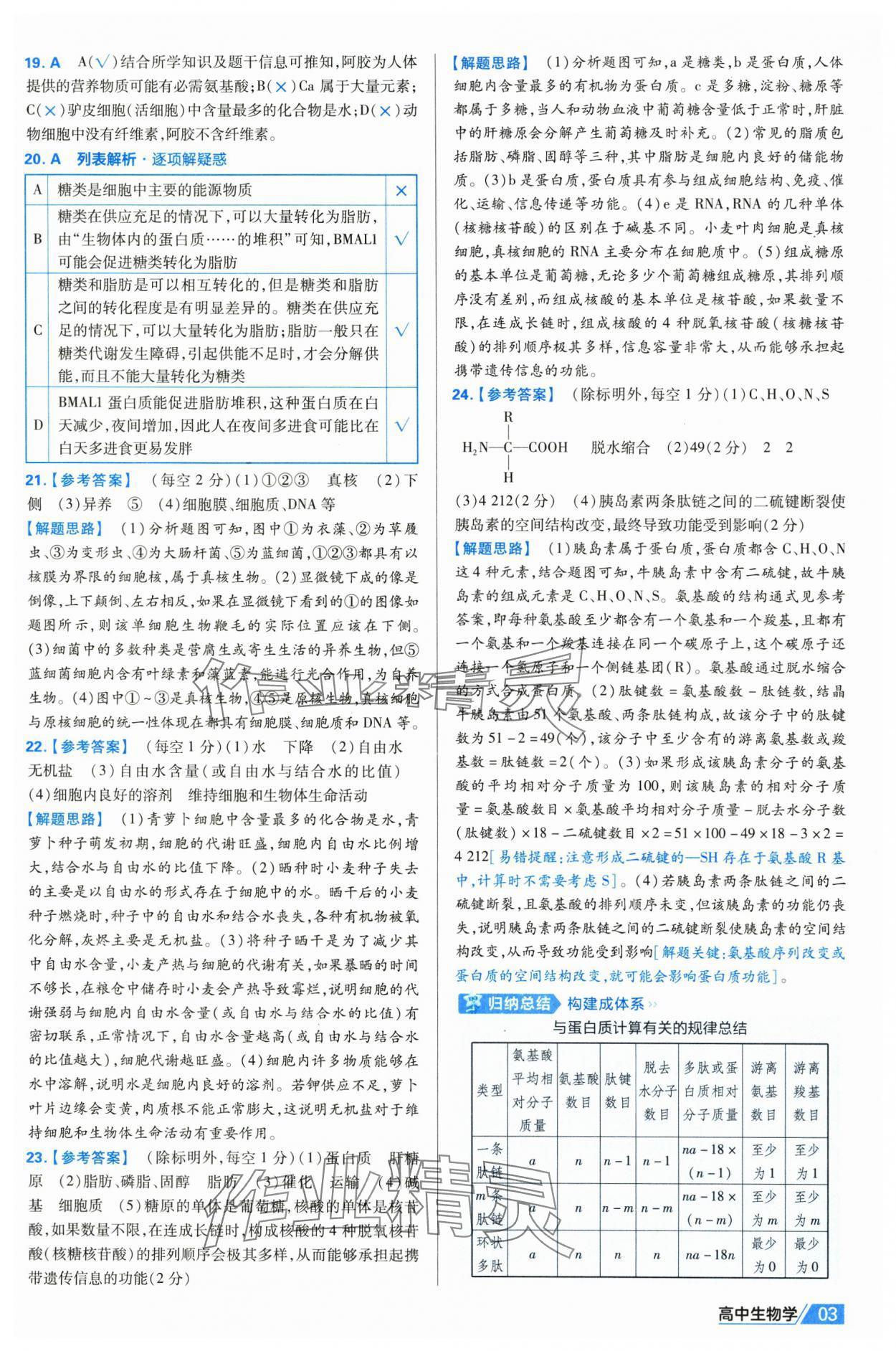 2025年金考卷名師名題單元雙測(cè)卷高中生物必修1人教版 第3頁(yè)