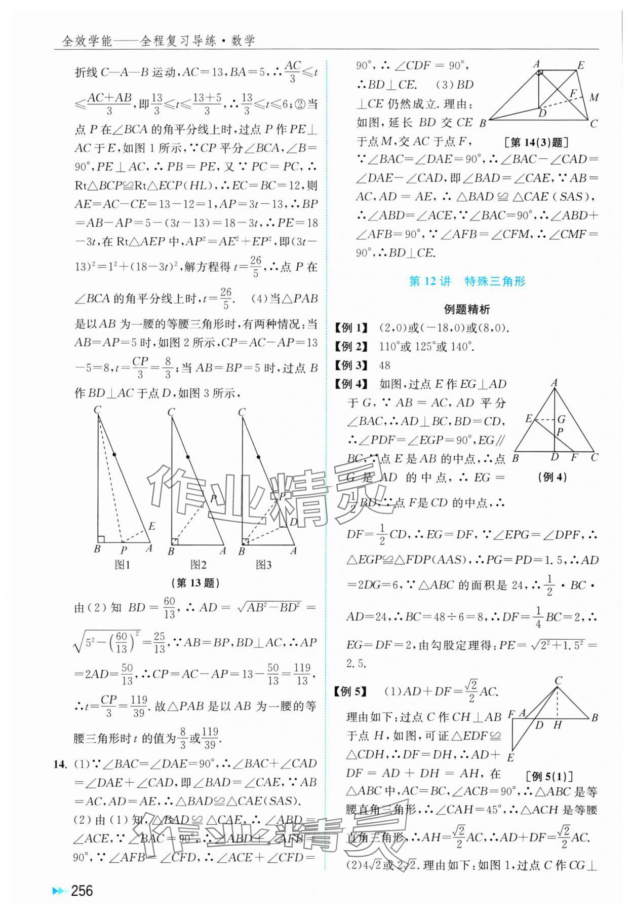 2025年全效學能全程復(fù)習導練中考數(shù)學 第18頁