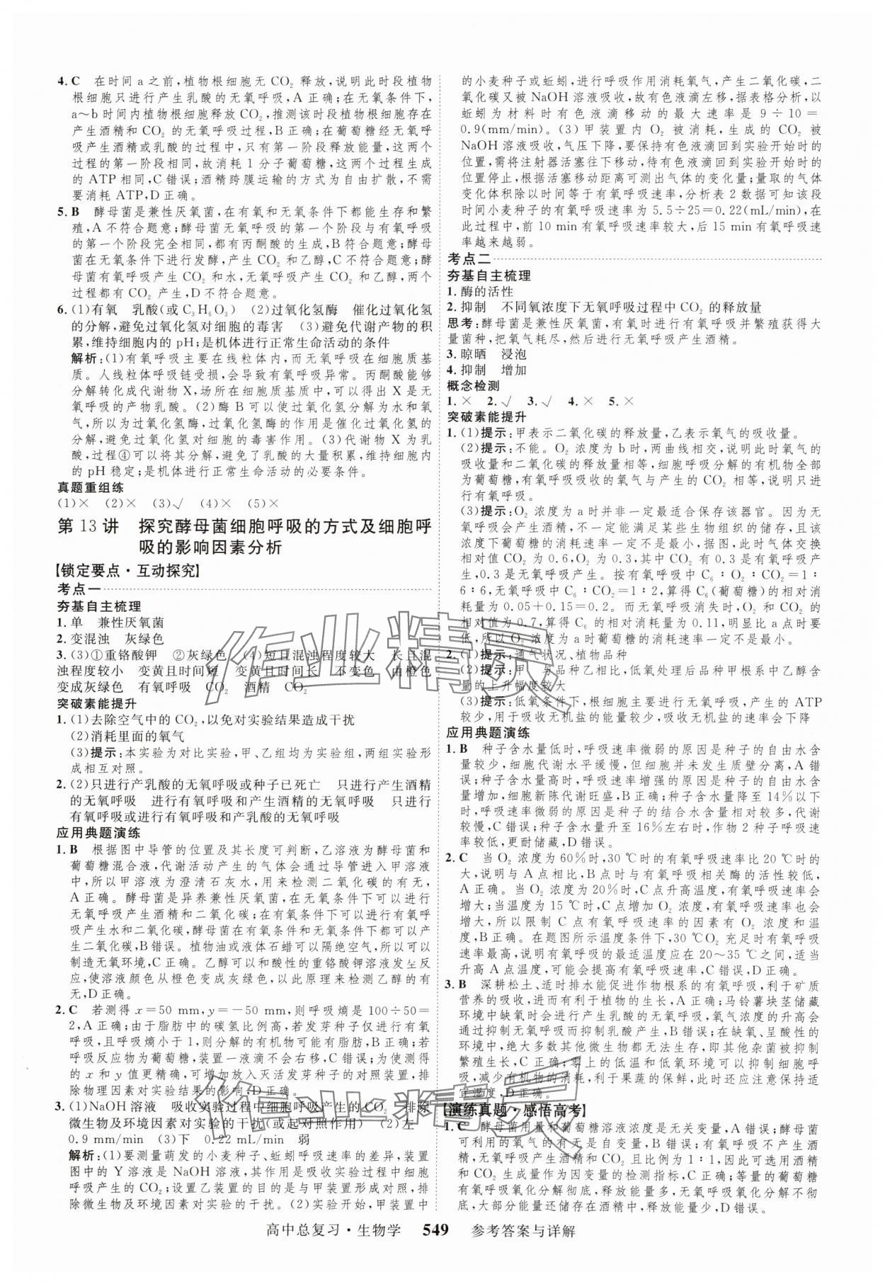 2024年三维设计生物 参考答案第13页